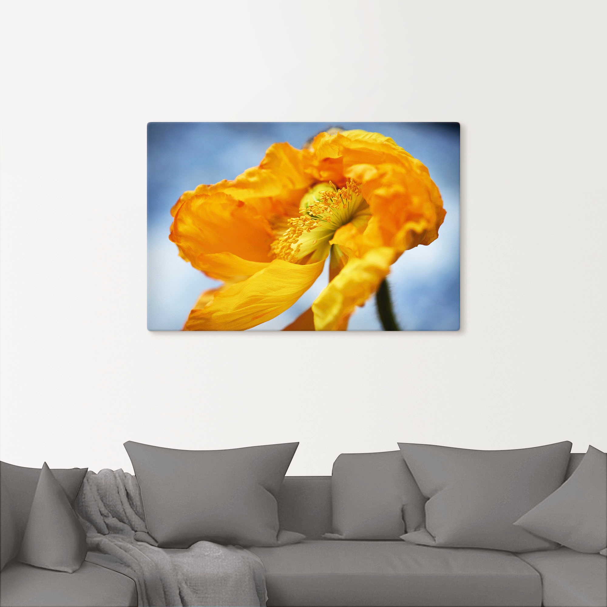 Artland Wandbild »Gelbe Mohnblüte«, Blumenbilder, in versch. Alubild, oder Wandaufkleber | als Größen BAUR (1 St.), Poster Leinwandbild, bestellen