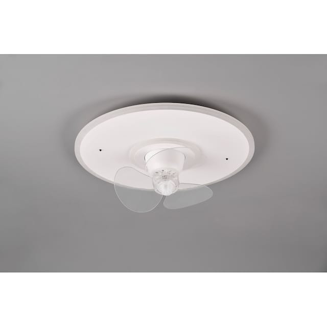 TRIO Leuchten LED Deckenleuchte »Nybro«, 1 flammig-flammig,  Deckenventilator mit 3 Stufen, Fernbedienung, Lichtfarbe einstellbar  bestellen | BAUR