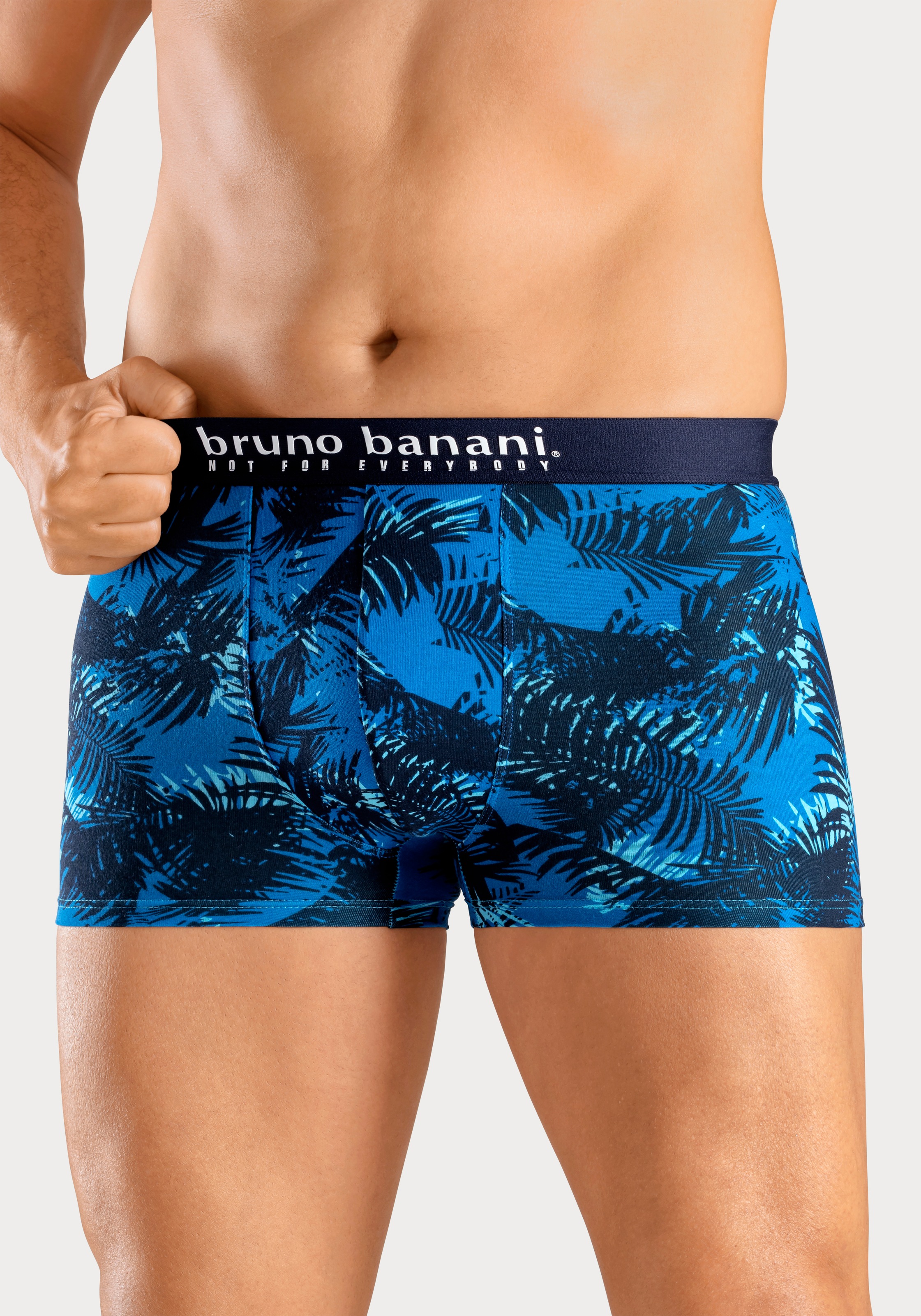 Bruno Banani Boxer, (Packung, 4 St., 4er-Pack), mit Palmendruck und unifarb günstig online kaufen