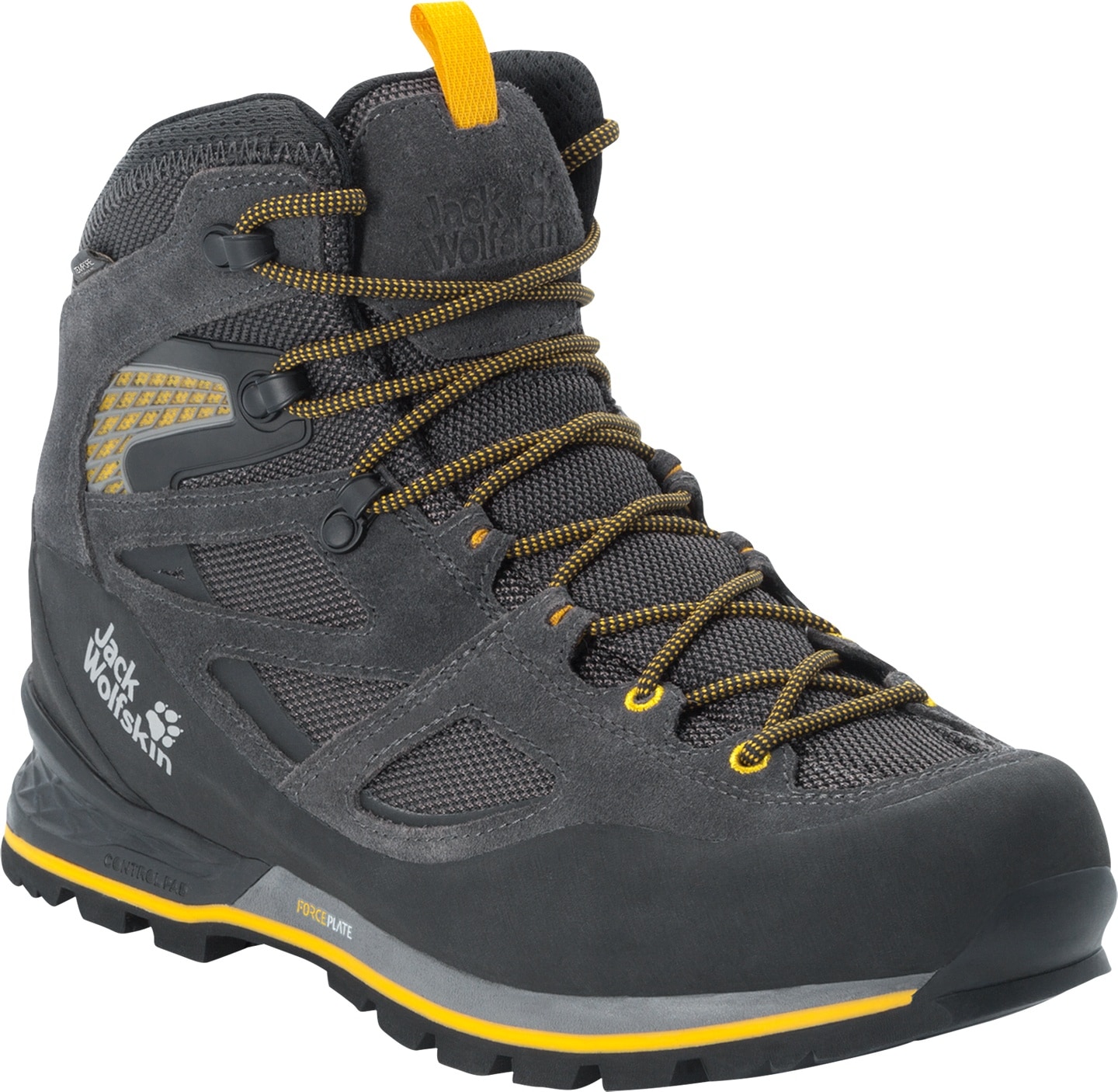 Jack Wolfskin Trekkingschuh »FORCE CREST TEXAPORE MID M«