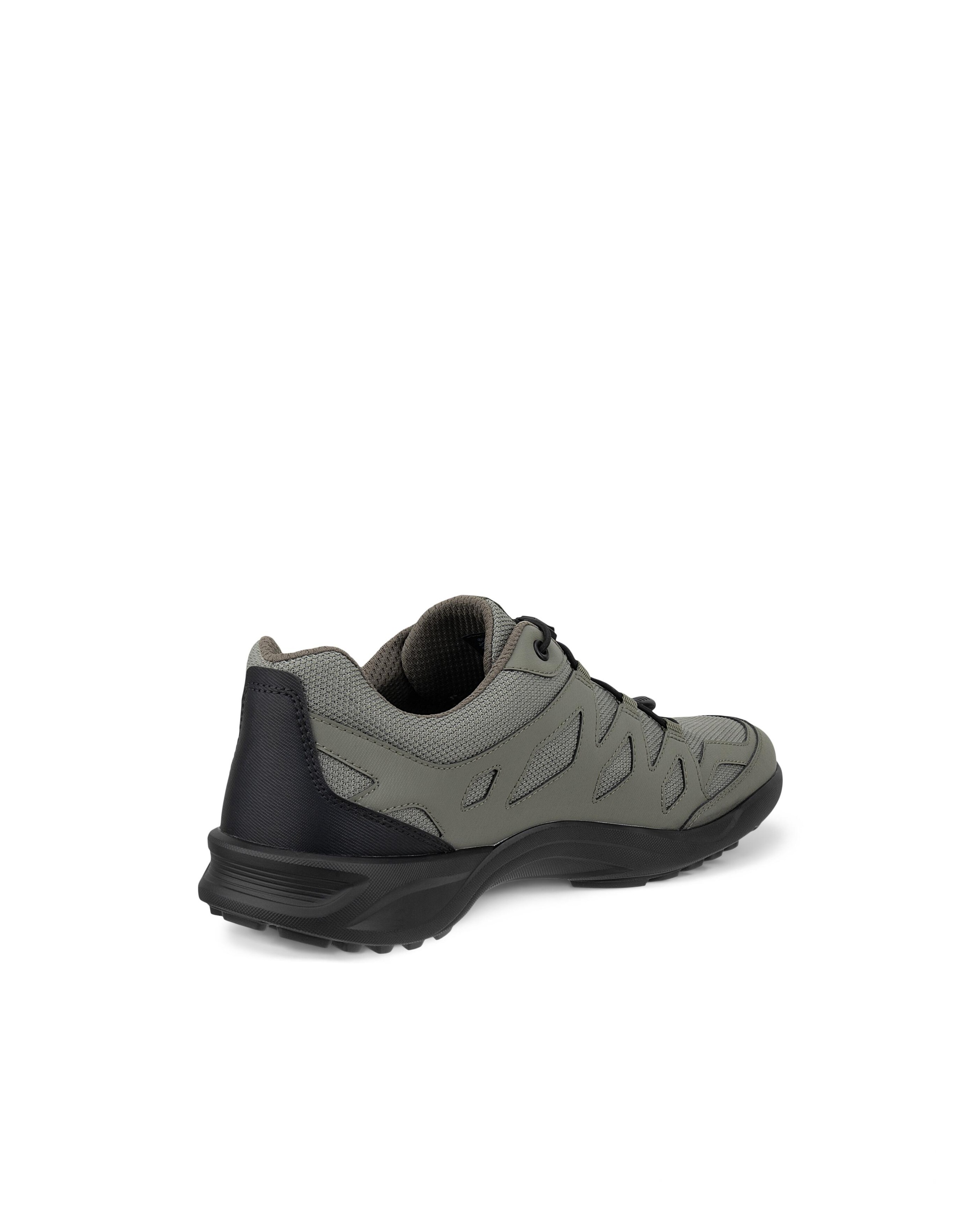 Ecco Trekkingschuh "TERRACRUISE LT M TEX" Freizeitsneaker, Halbschuh, Outdo günstig online kaufen