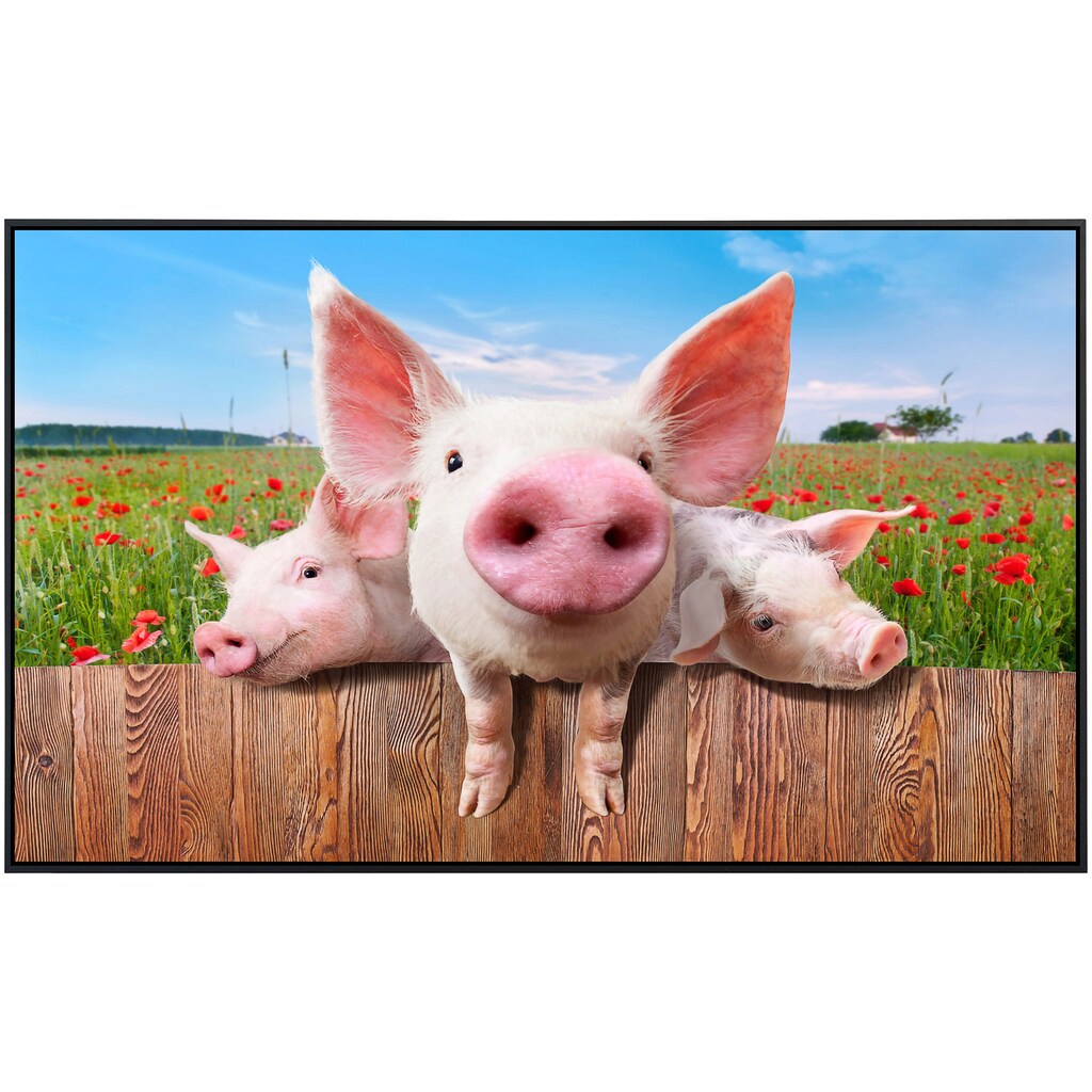 Papermoon Infrarotheizung »Schweine in Blumenwiese«