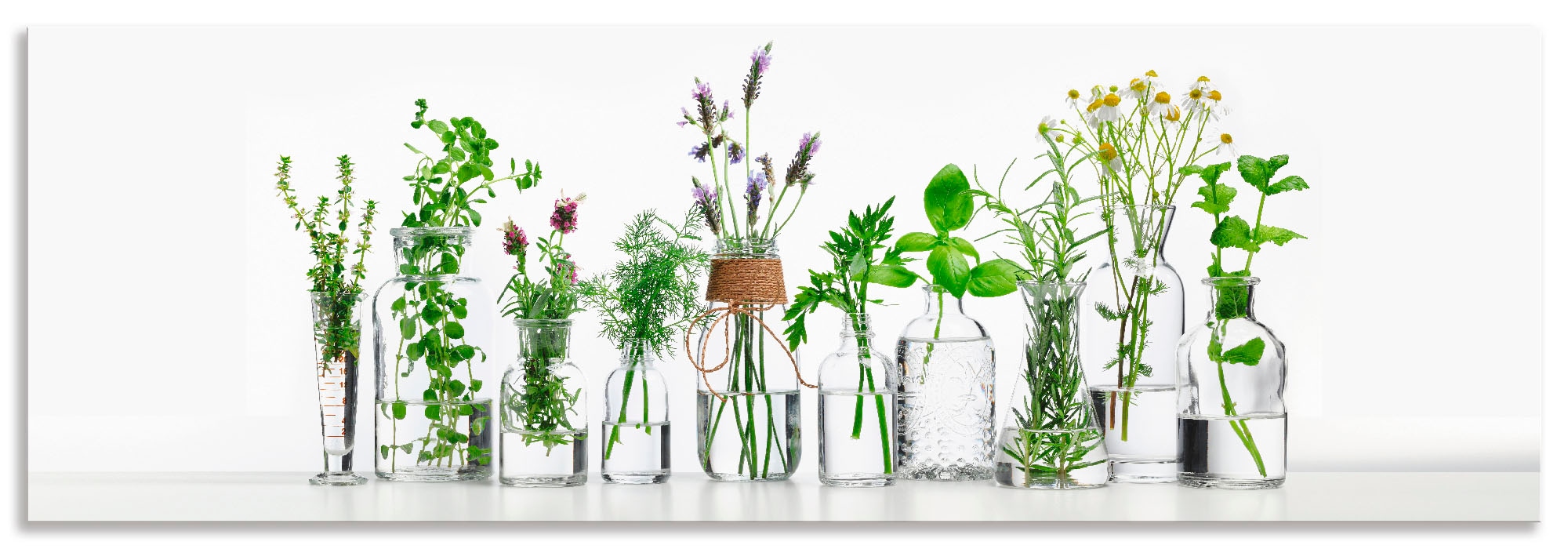 Artland Küchenrückwand "Öle mit Kräutern", (1 tlg.), Alu Spritzschutz mit K günstig online kaufen