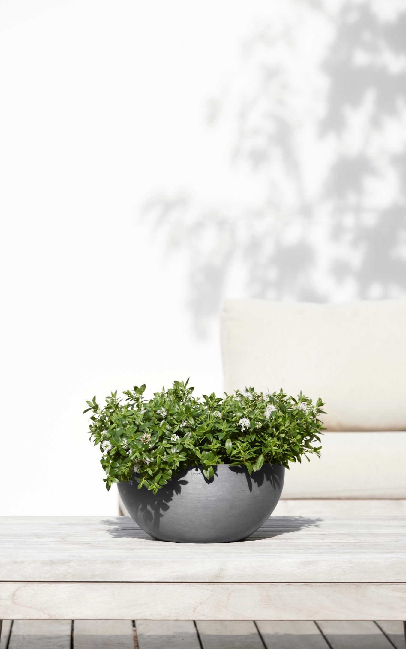 ECOPOTS Blumentopf »BRUSSELS Grey«, BxTxH: 30x30x14 cm