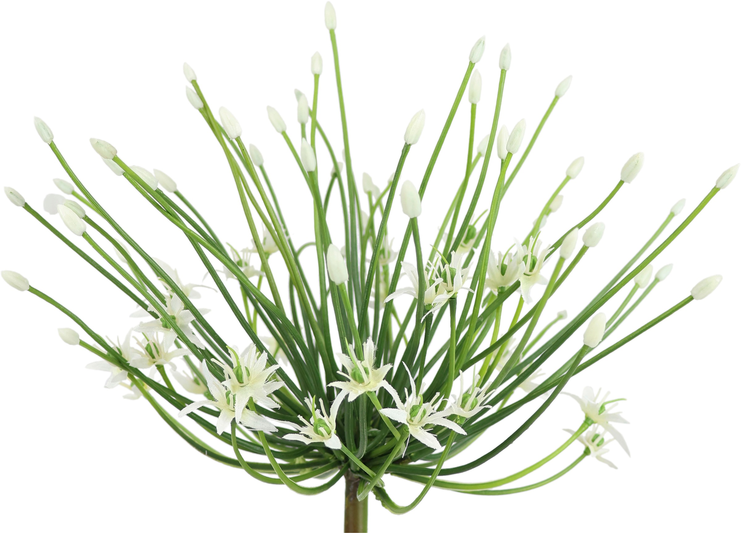 I.GE.A. Kunstblume »Allium Zierlauch«, Stielblume künstliche Blumen, 2er Set