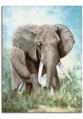 Artland Paveikslas »Elefant« Wildtiere (1 St.)...