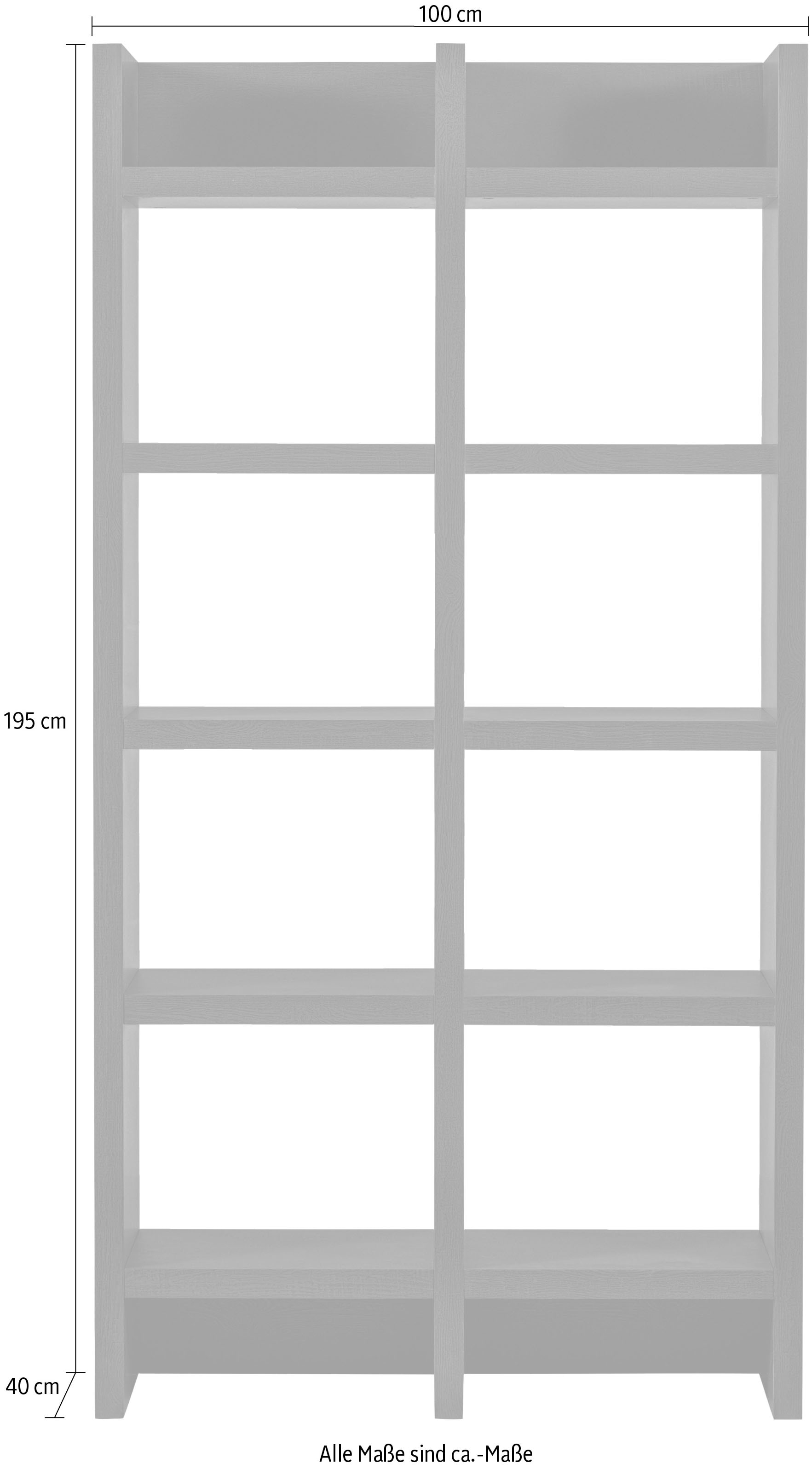 WOOOD Regal »Tilburg«, offen, viele Ablagemöglichkeiten, H 195 cm x B 100 cm