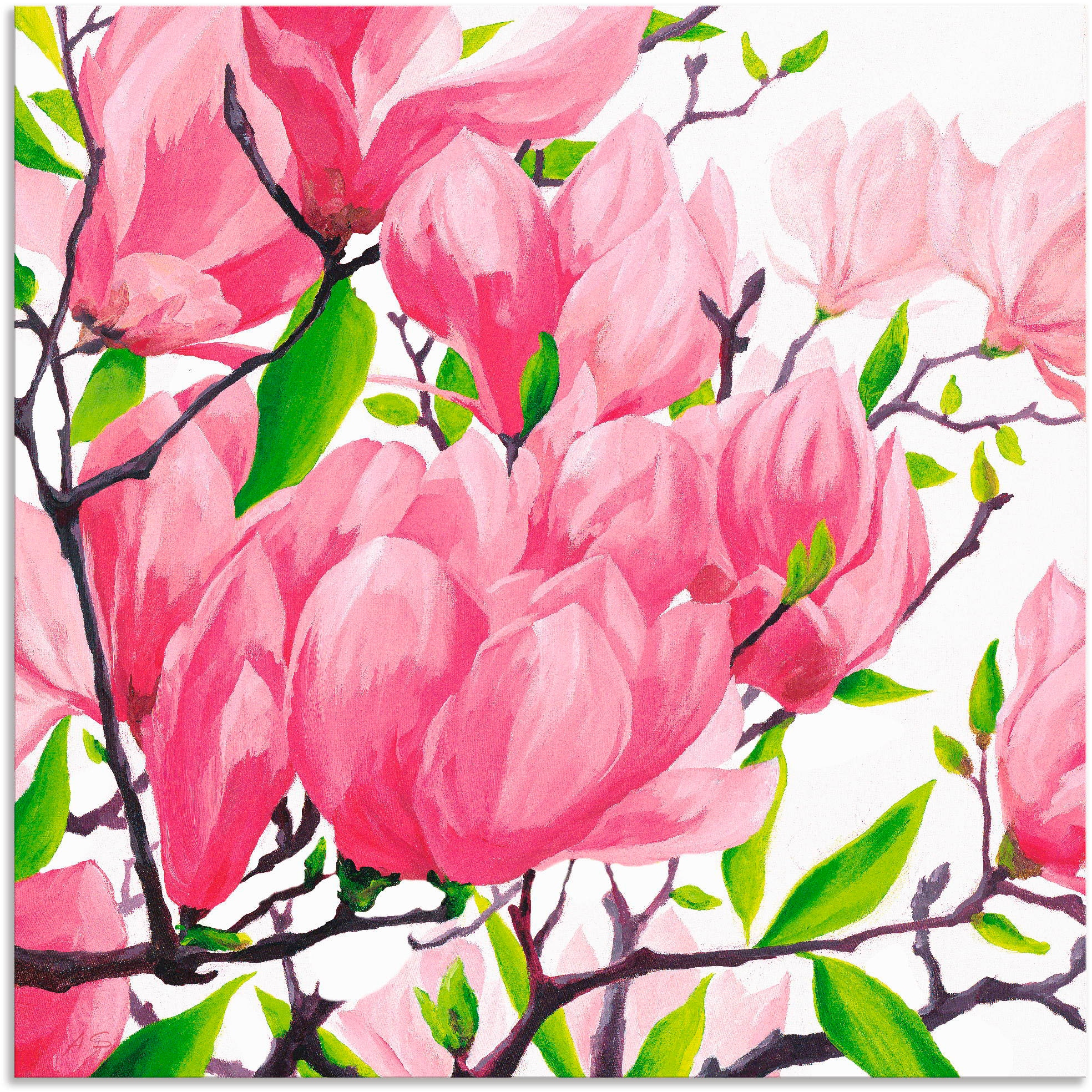 Artland Wandbild "Pinke Magnolien", Blumen, (1 St.), als Alubild, Outdoorbi günstig online kaufen