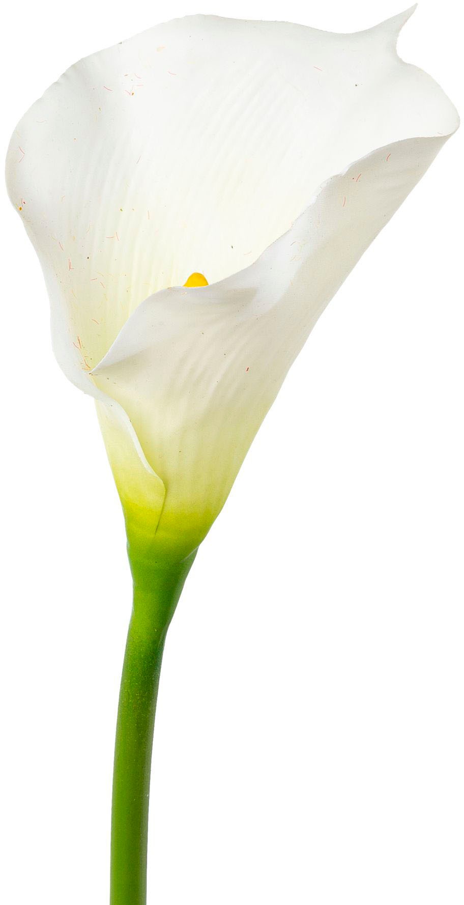 Creativ green Kunstblume "Calla" günstig online kaufen