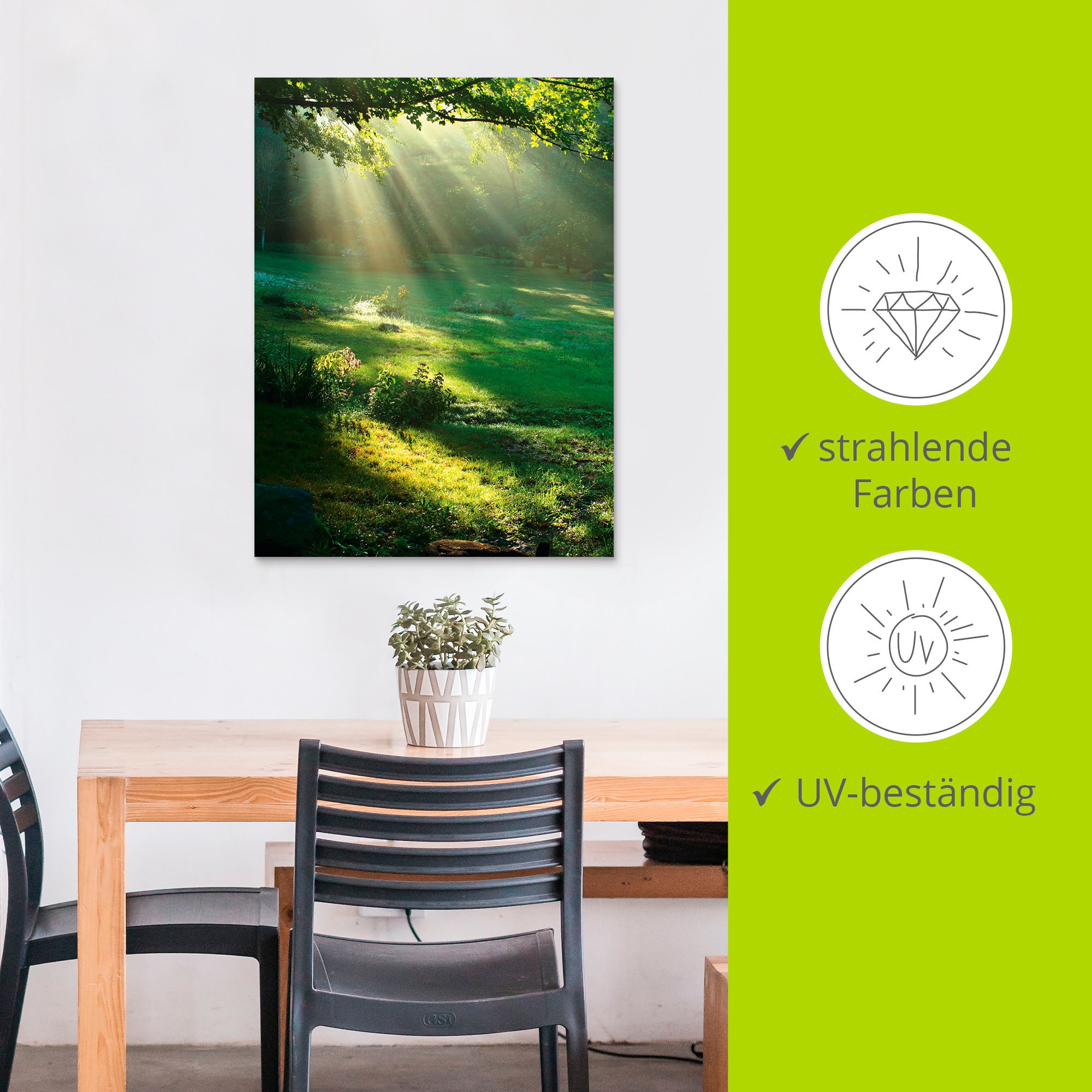 Artland Wandbild »Lichtkegel«, Wald, (1 St.), als Alubild, Outdoorbild, Leinwandbild, Poster, Wandaufkleber
