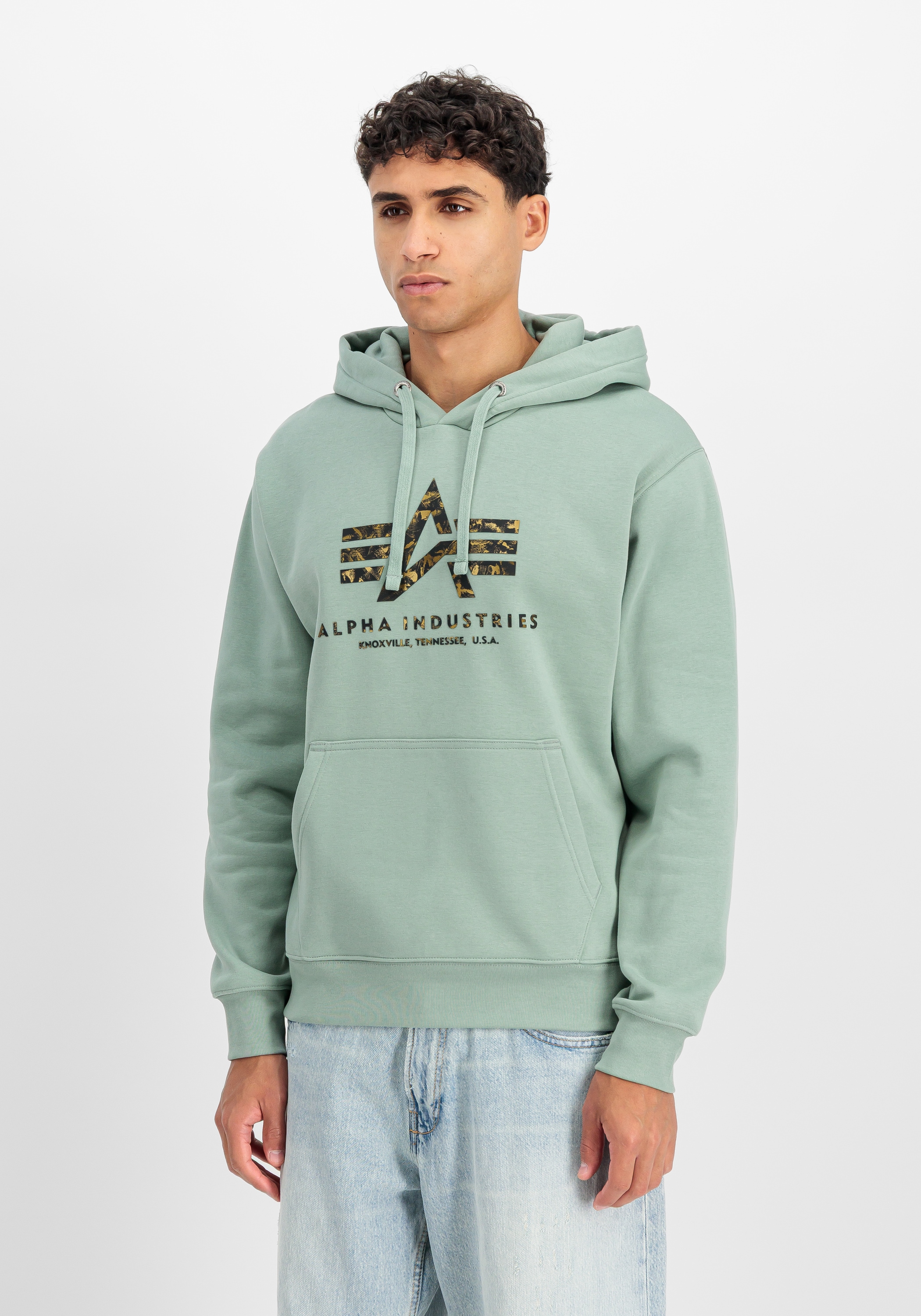 Alpha Industries Hoodie "Basic Hoodie BL Effect Print"