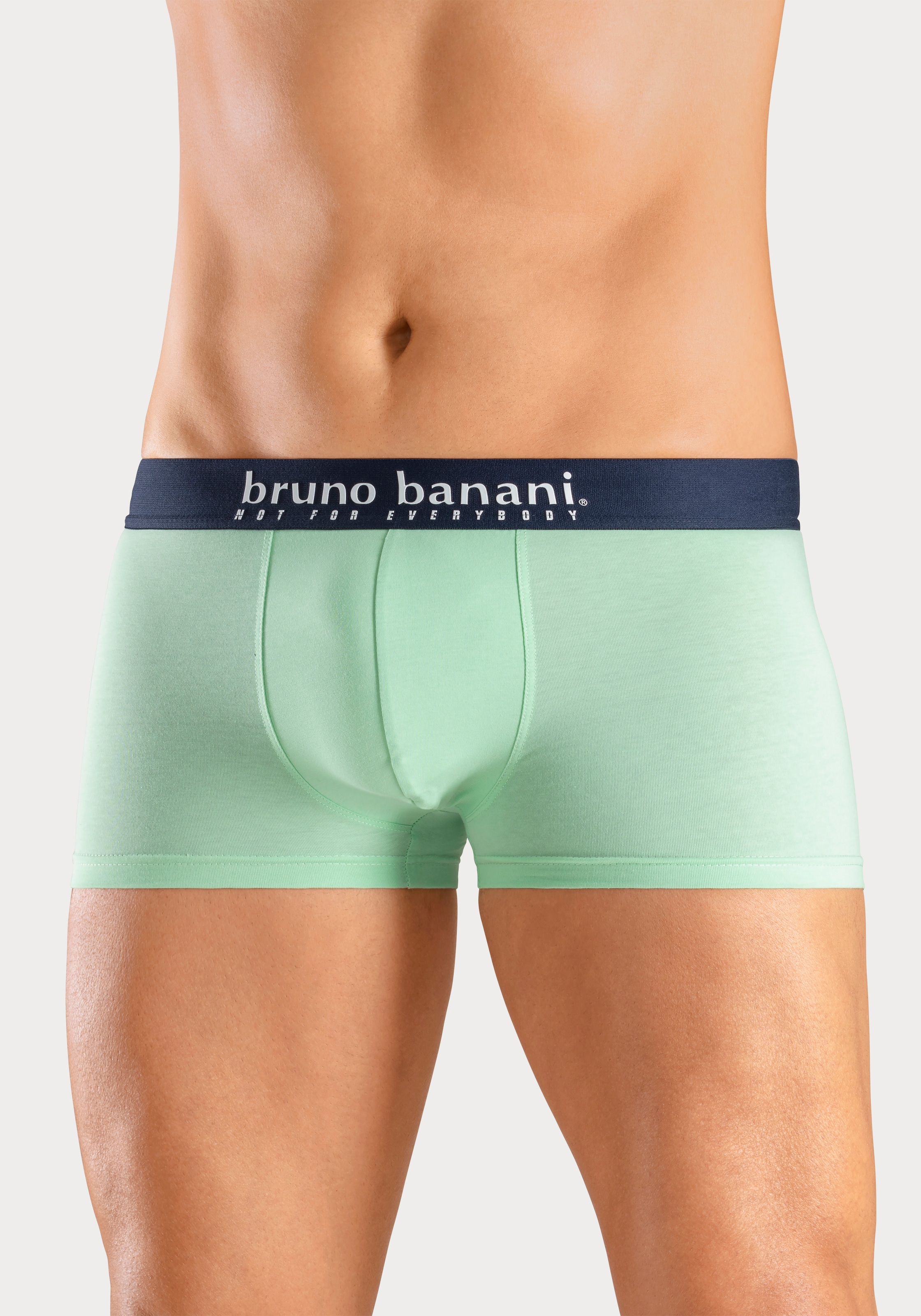 Bruno Banani Boxer »Boxershorts für Herren«, (Packung, 4 St., 4er-Pack), mit Palmendruck und unifarben aus Baumwollmischung