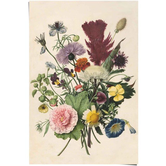 Reinders! Poster »Blumenstrauß Stilleben - Blumen - Rijksmuseum«, (1 St.)  kaufen | BAUR