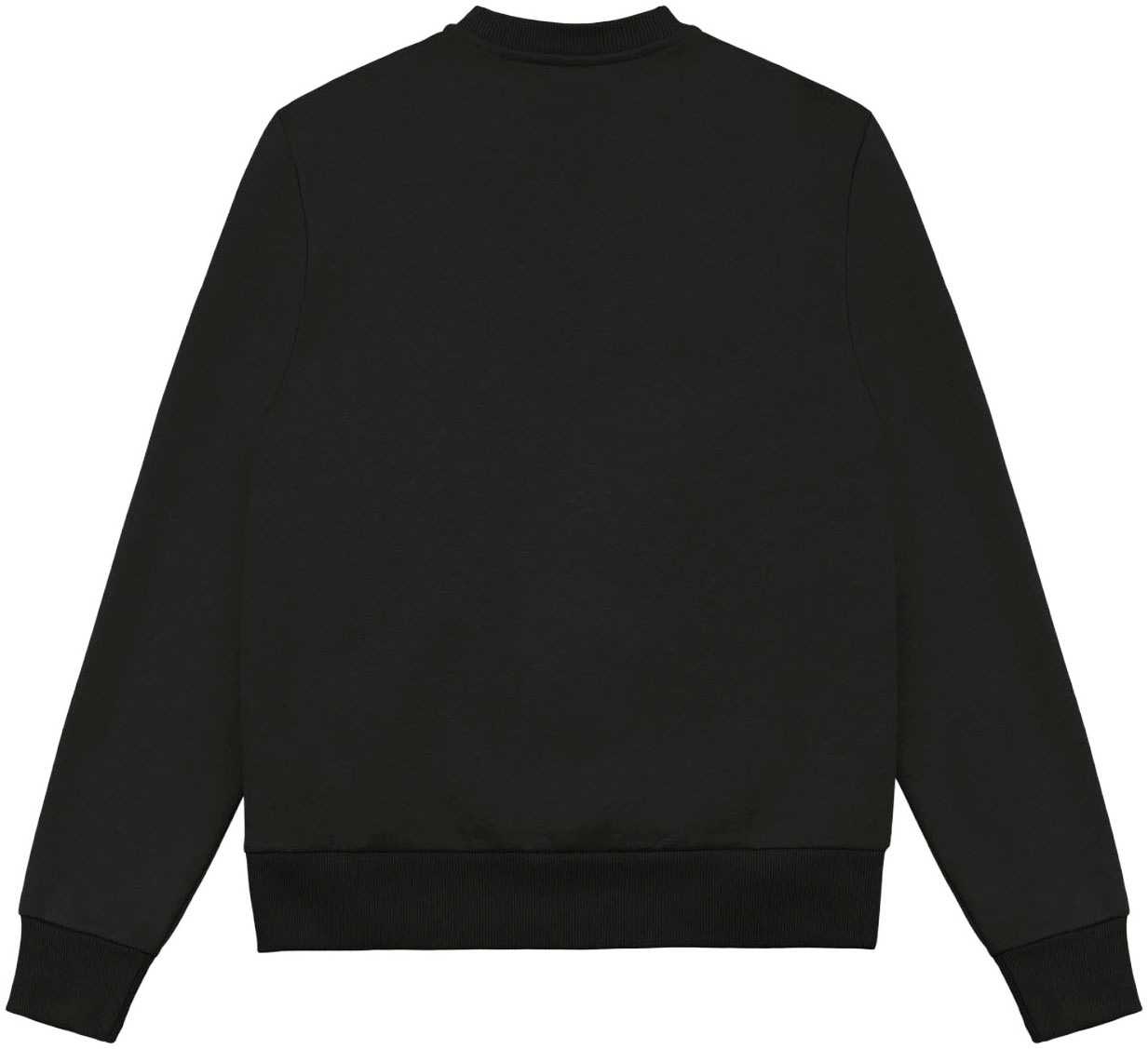 Colmar Sweatshirt »MENS SWEATSHIRT«, regular fit, Rundhalsausschnitt