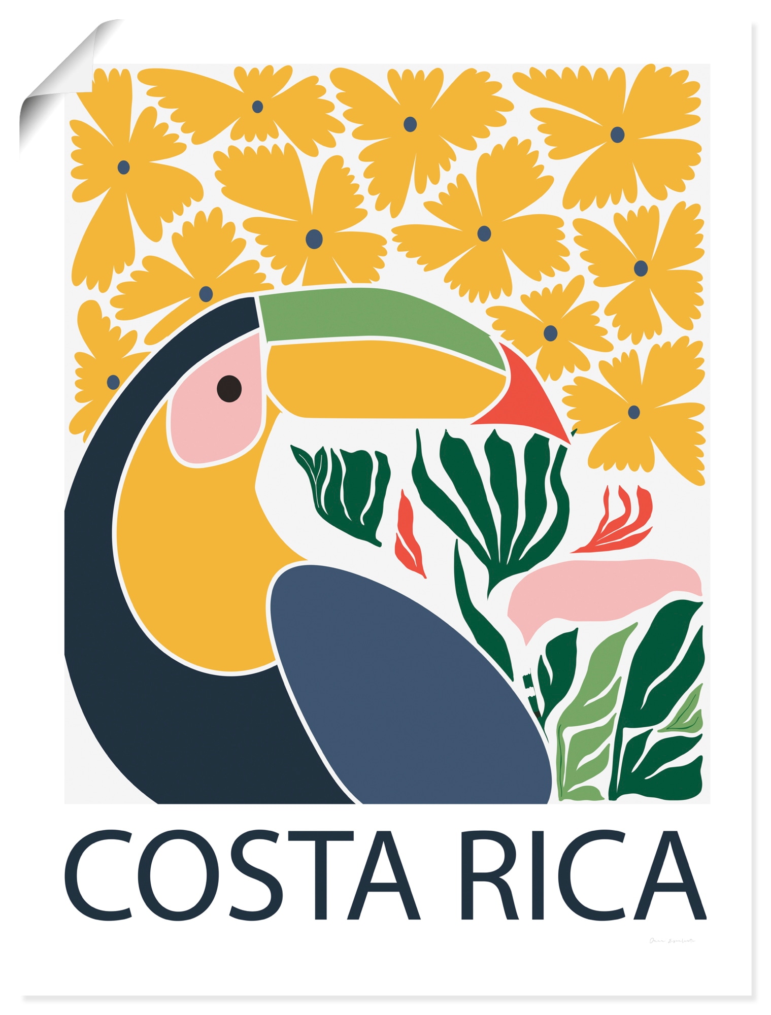 ARTland Costa Rica Animal Poster Multicolor 60x80cm