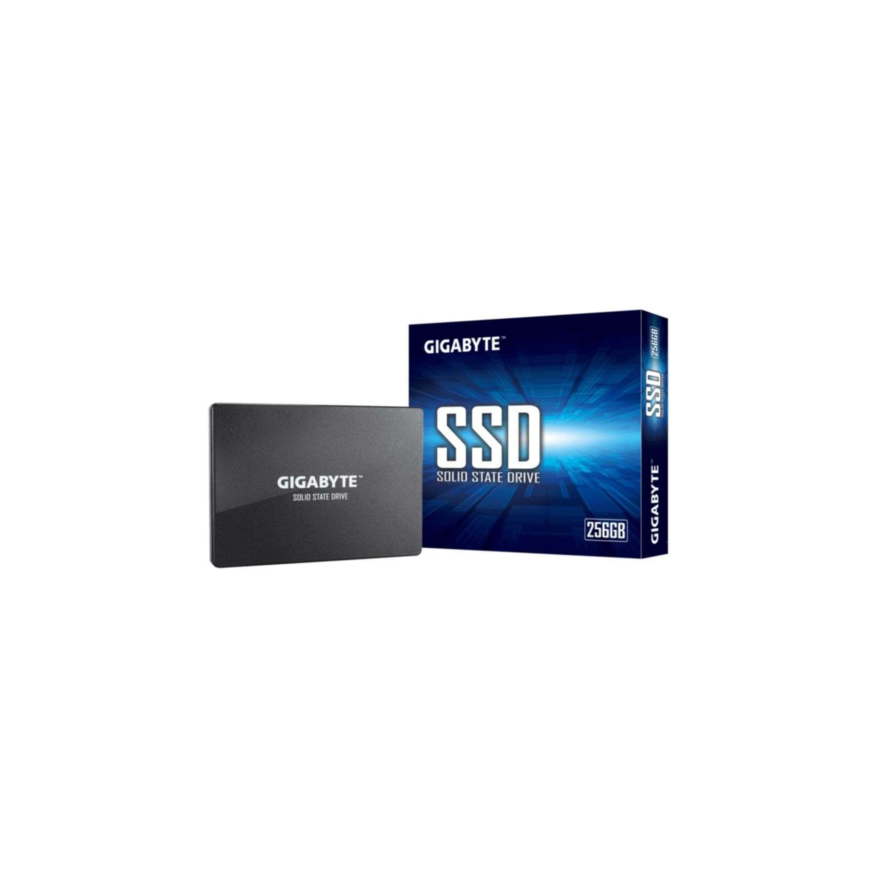 Gigabyte Interne SSD »GP-GSTFS31256GTND«