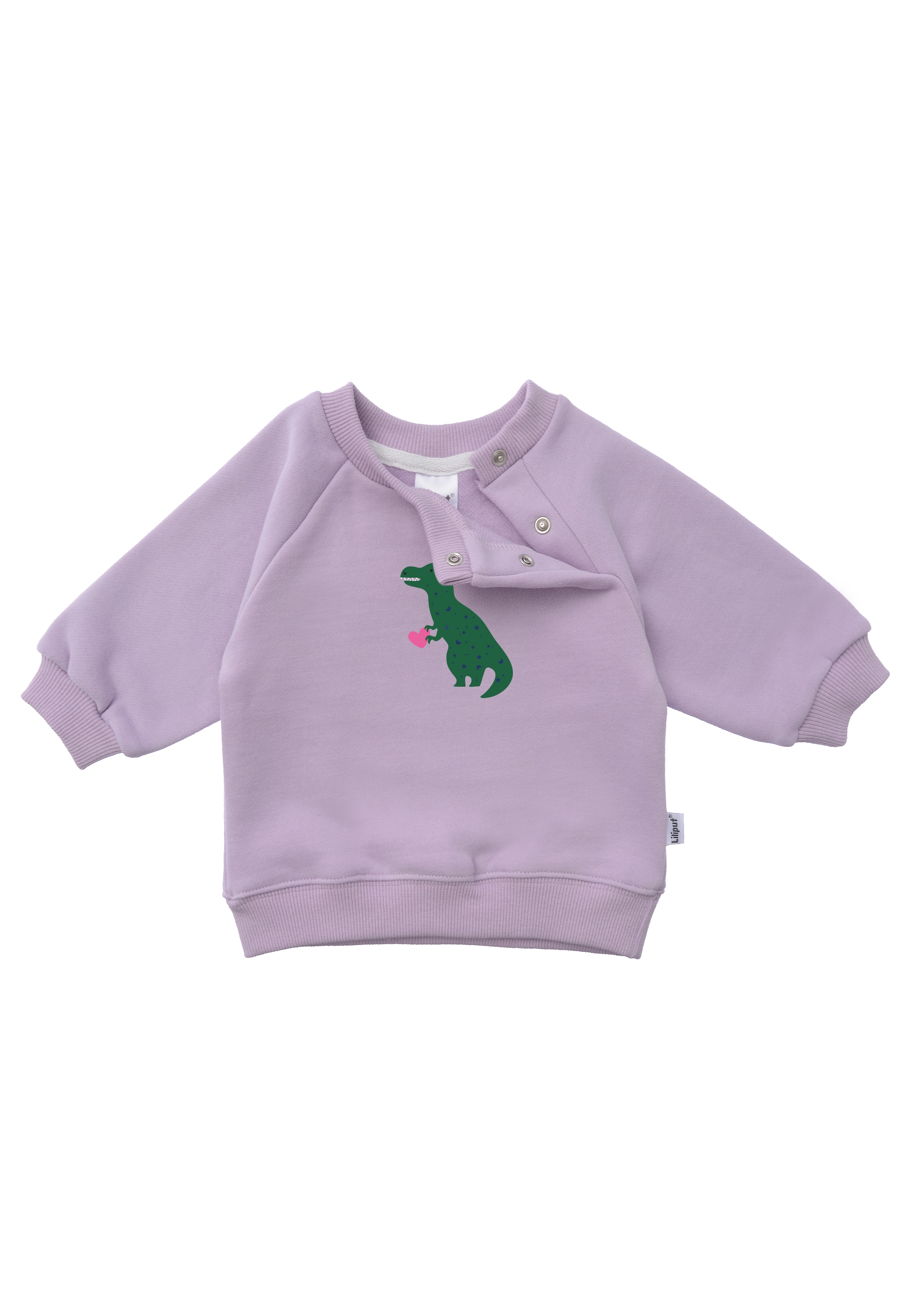 Sweatshirt »Dino«, mit niedlichem Dino-Print