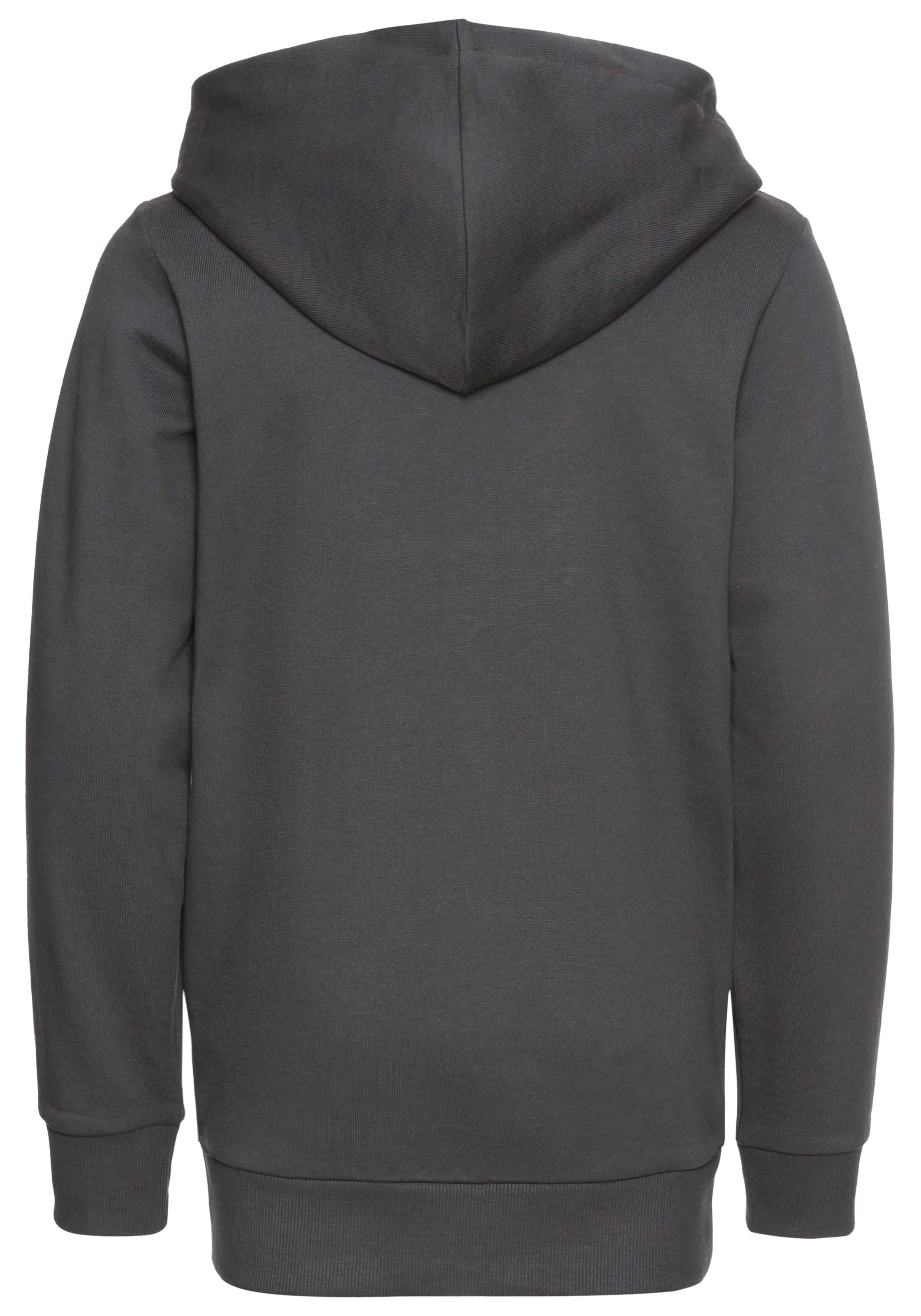 KIDSWORLD Kapuzensweatshirt »GECKO«, cooles Tiermotiv