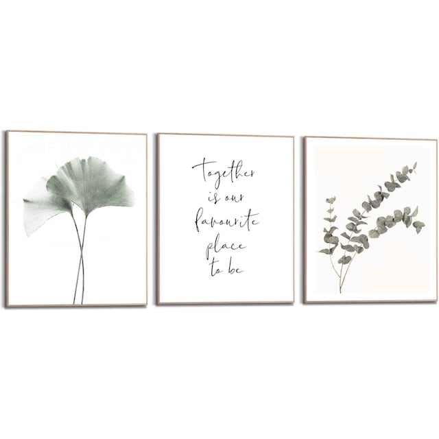 Reinders! Wandbild »Zusammen Eukalyptus - Pflanze - Ginkgo - Natur -  Liebe«, (3 St.) bestellen | BAUR