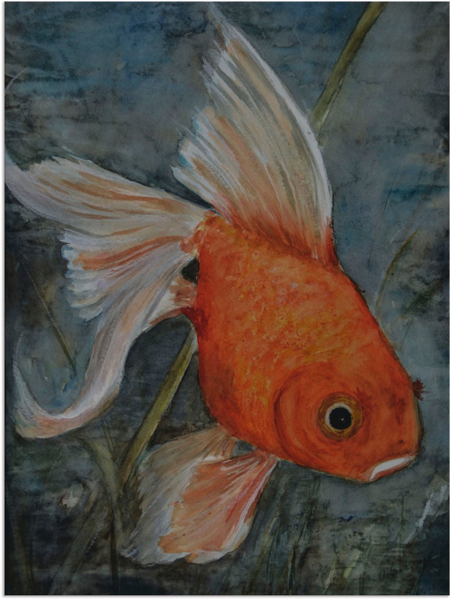 Artland Wandbild in Größen | Goldfisch«, St.), (1 oder bestellen »Feng Shui Poster Wandaufkleber - als BAUR Alubild, Leinwandbild, Wassertiere, versch