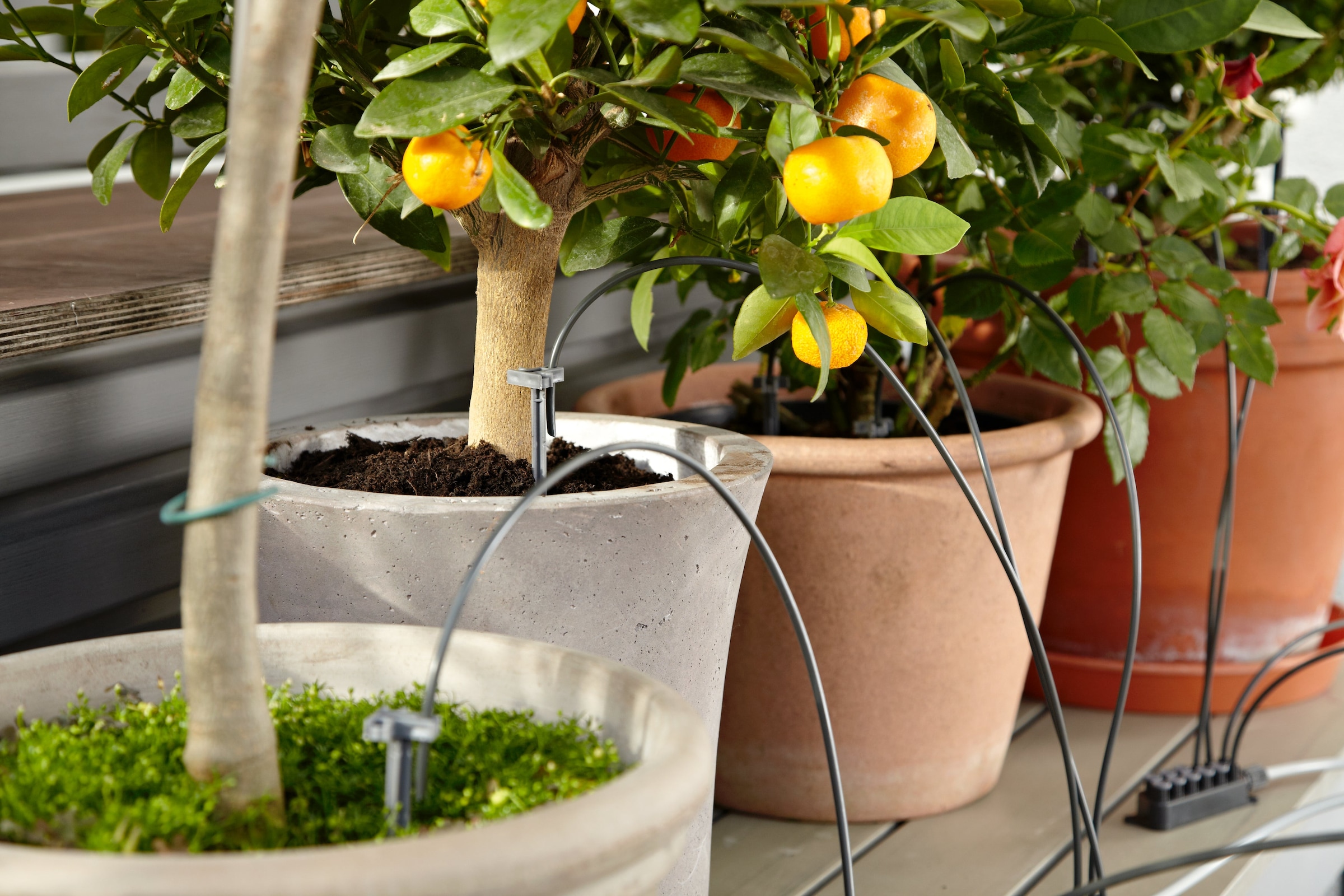 GARDENA Bewässerungssystem »Urlaubsbewässerung Set« ()  Automatische Bewässerung von bis zu 36 Zimmerpflanzen