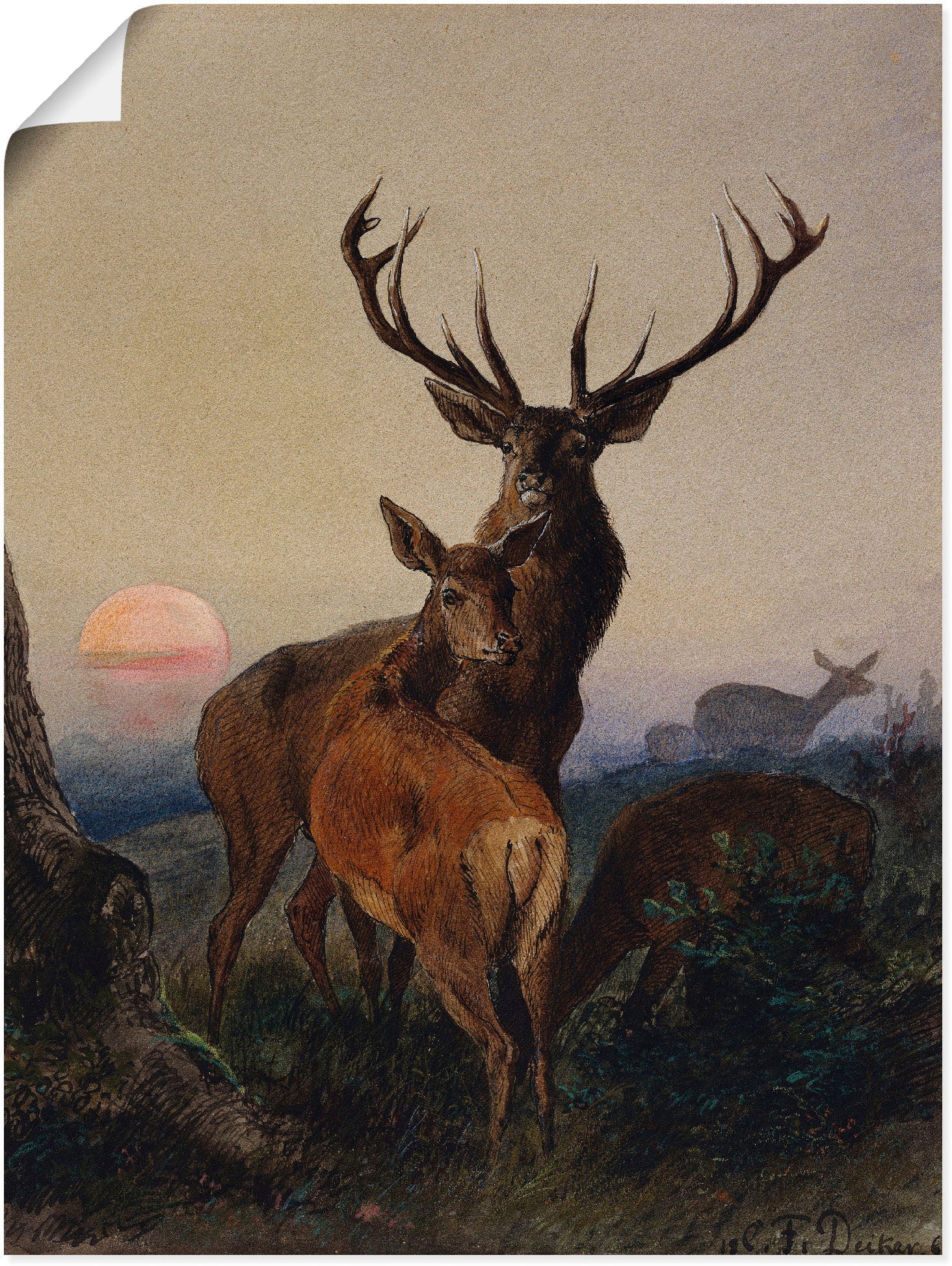 Artland Wandbild "Hirsch und ein Reh bei Sonnenuntergang", Wildtiere, (1 St günstig online kaufen