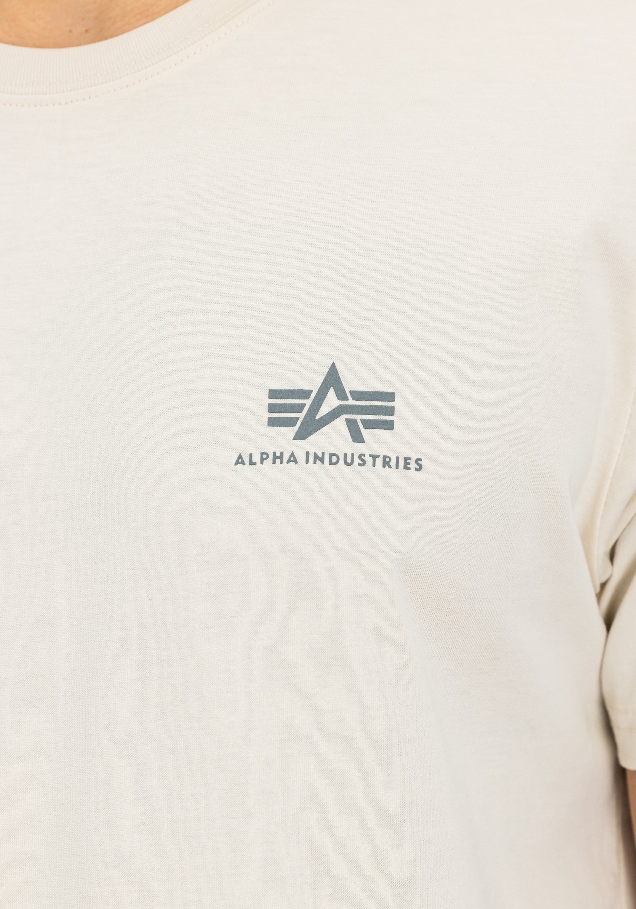 Alpha Industries T-Shirt »Backprint T-Shirt T-Shirt«