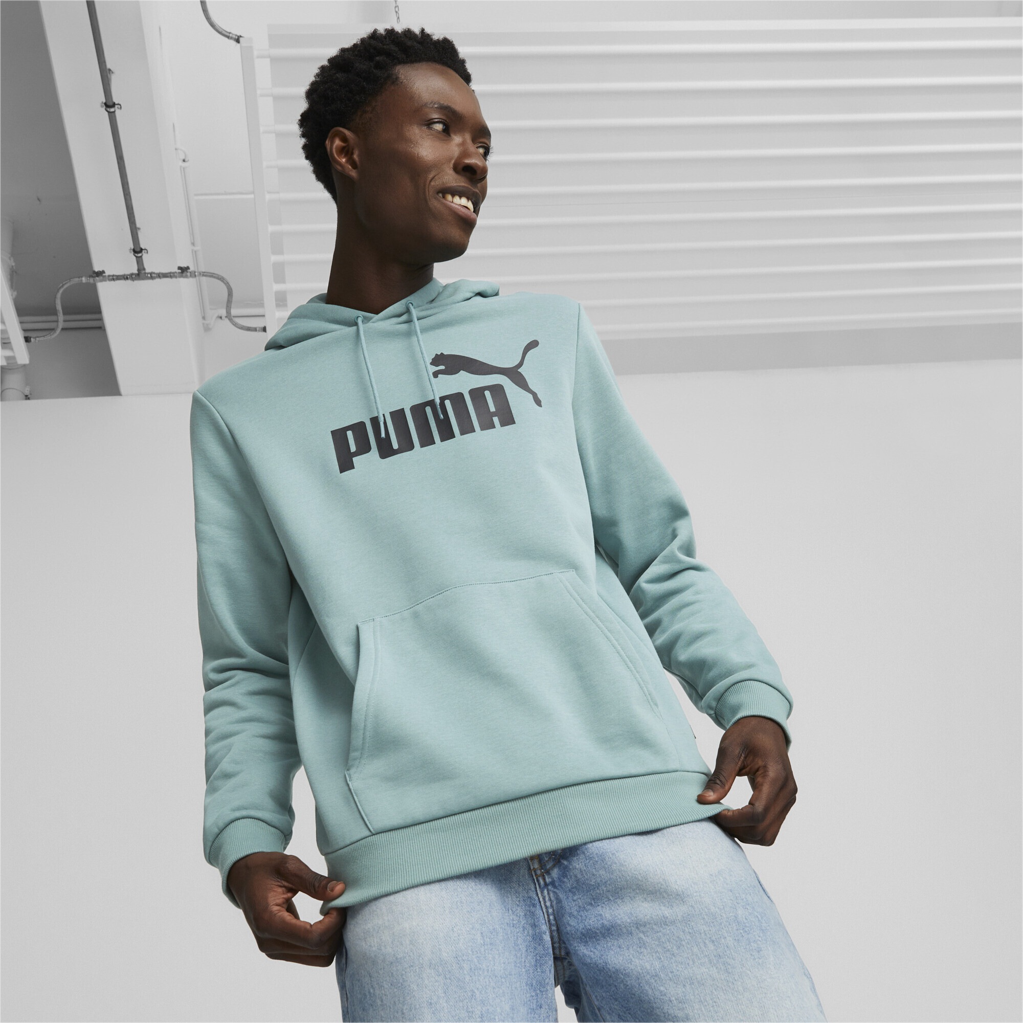 PUMA Sweatshirt »Essentials Big Logo Herren-Hoodie«