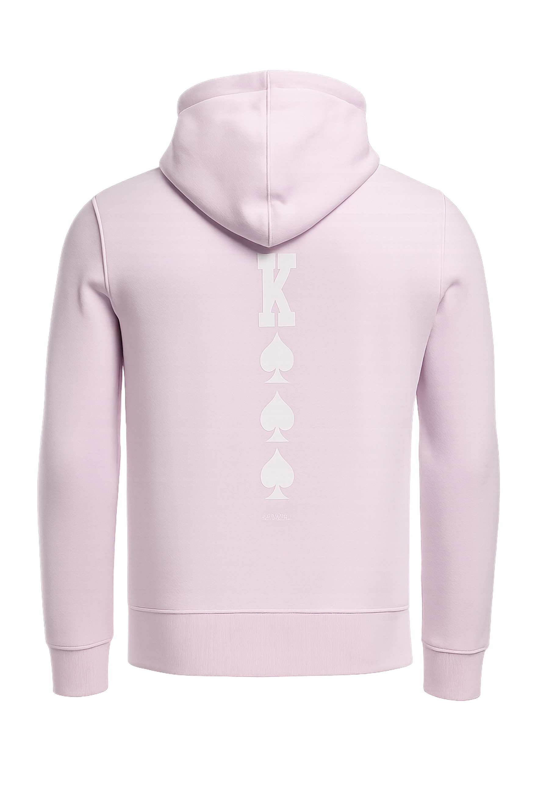 CAYLER & SONS Rundhalspullover »Cayler & Sons Herren WL Compton Card Hoody« 1
