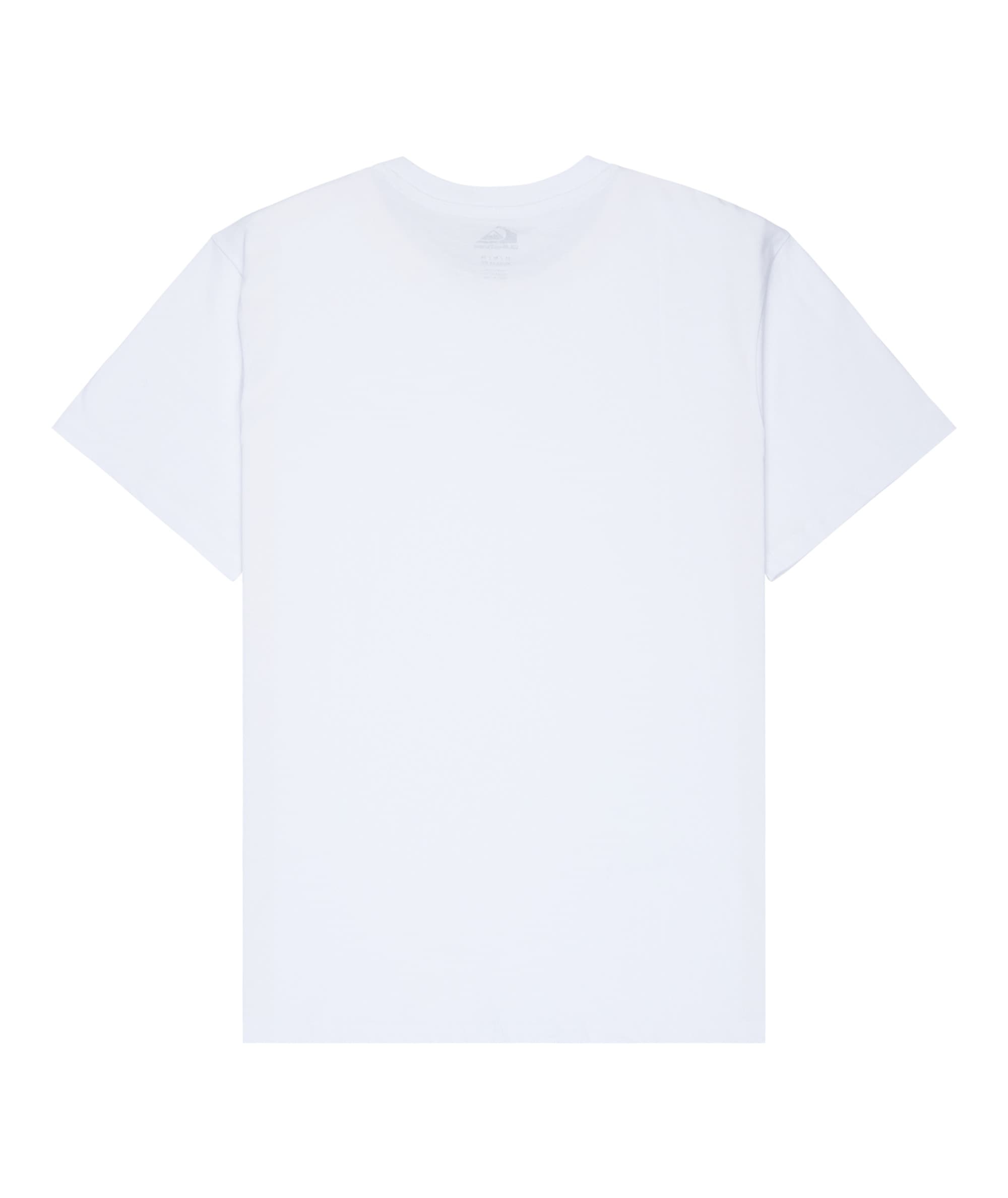 Quiksilver T-Shirt »RETRO MOOD SHORT SLEEVE« Kurzarm-Design, aus Baumwolle, in den Größen S bis XXL