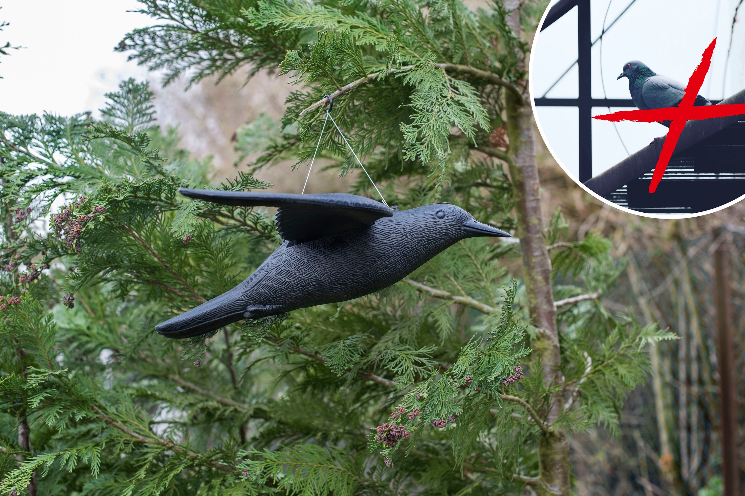 Gardigo Vogelattrappe »Vogel-Abwehr Falke«
