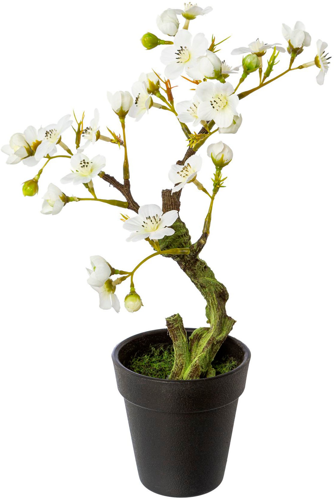 Creativ green Kunstblume »Mandelbonsai im Topf«