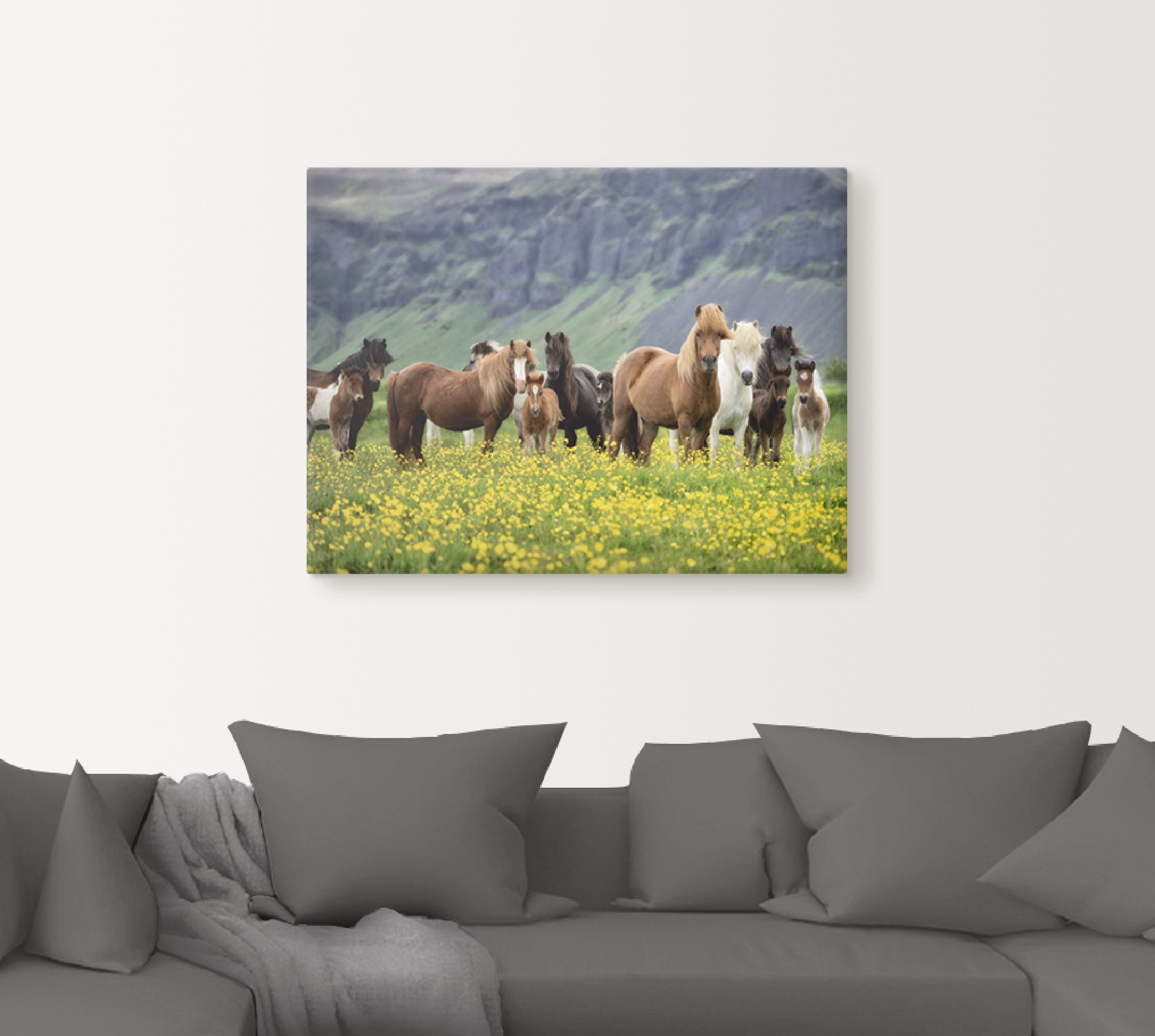 Thumbnail - Artland Wandbild "Isländische Pferde VII", Haustiere, (1 St.), als Leinwandbild, Poster, Wandaufkleber in verschied. Grö...