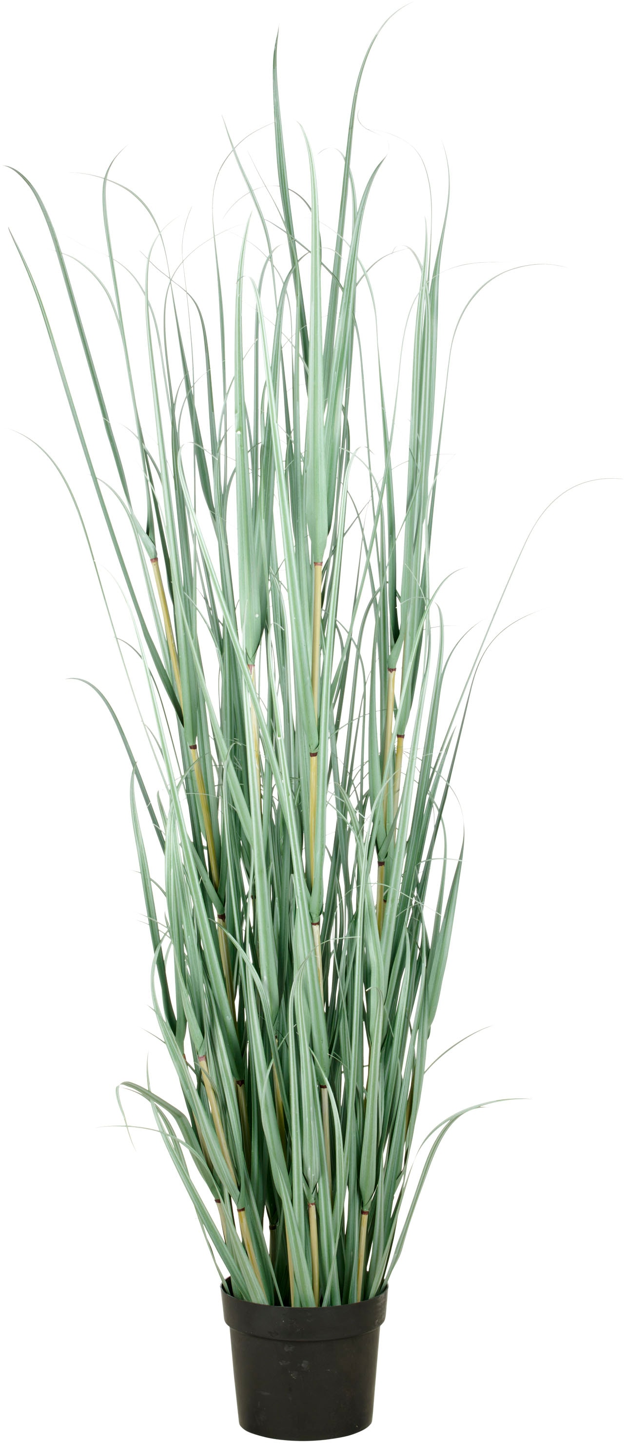 Creativ green Kunstgras "Grasbusch Cortaderia", in opulenter Größe günstig online kaufen