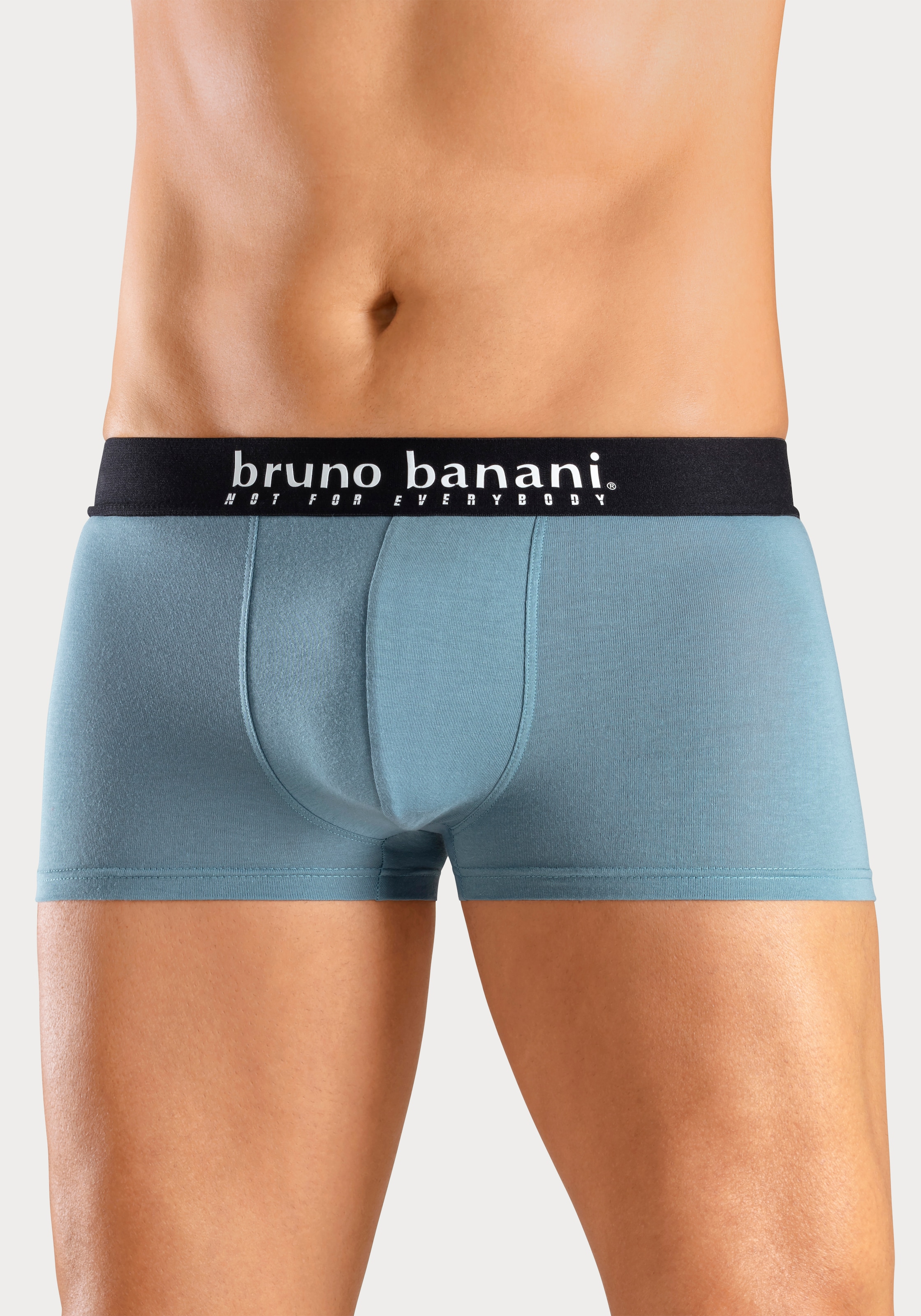 Bruno Banani Boxer »Boxershorts für Herren«, (Packung, 4 St., 4er-Pack), mit Palmendruck und unifarben aus Baumwollmischung