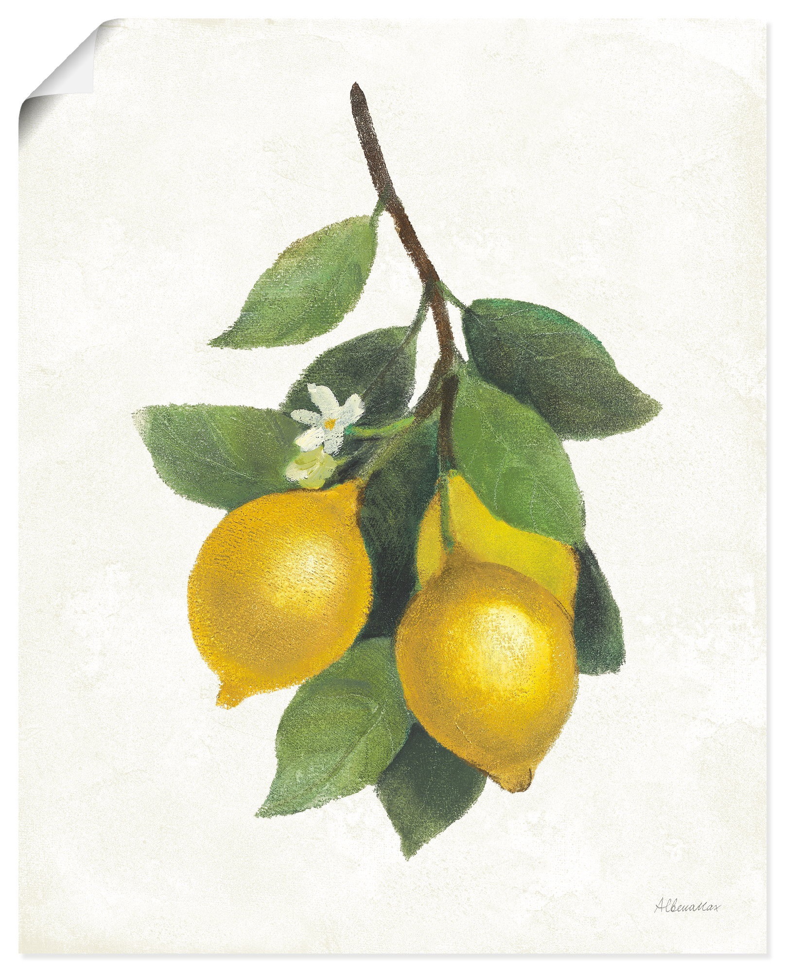 Artland "Lemon Branch III" Pflanzenbilder 1 Stk. tlg. als Alubild, Leinwandbild, Poster, Wandaufkleber in verschied. Größen