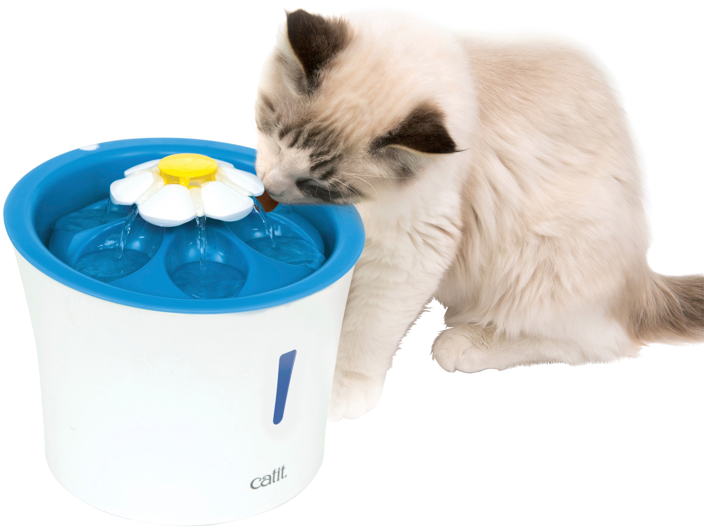 trinkbrunnen katze catit