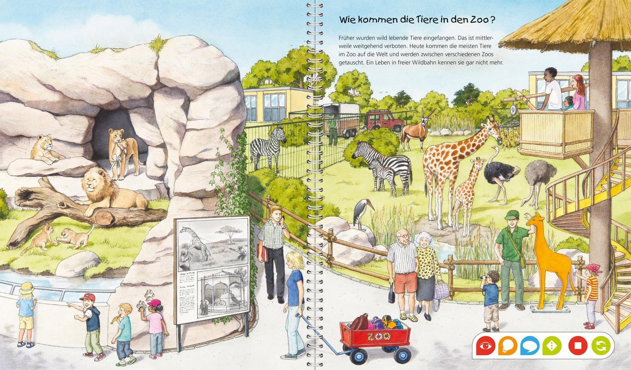 Ravensburger Buch »tiptoi® WWW Entdecke den Zoo«, Made in Europe; FSC® - schützt Wald - weltweit