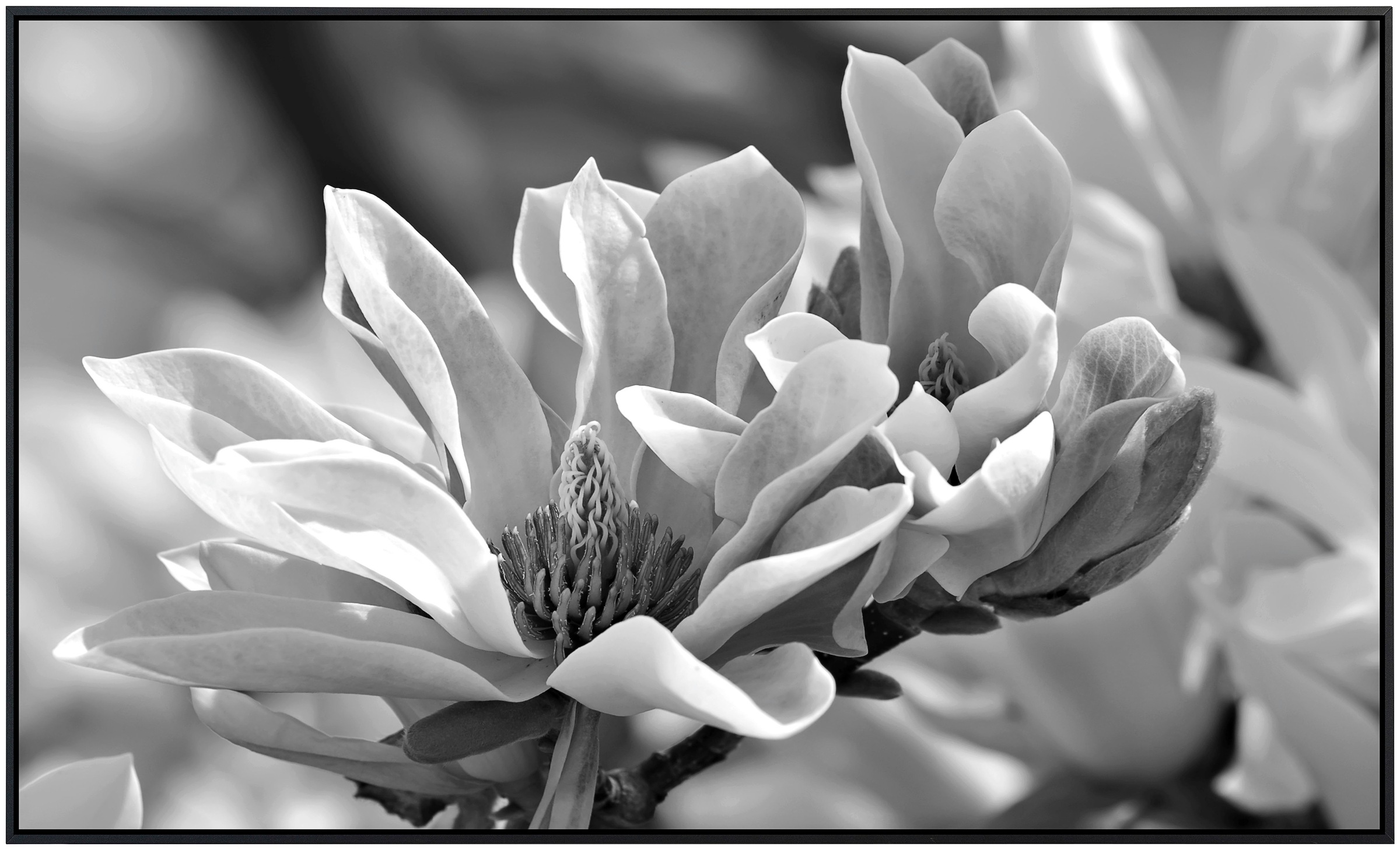 Papermoon Infrarotheizung »Blume Schwarz & Weiß«, sehr angenehme Strahlungswärme