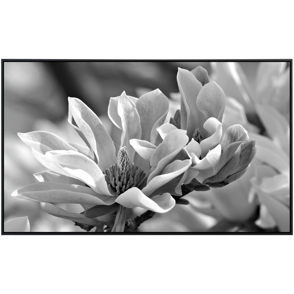 Papermoon Infrarotheizung »Blume Schwarz & Weiß«