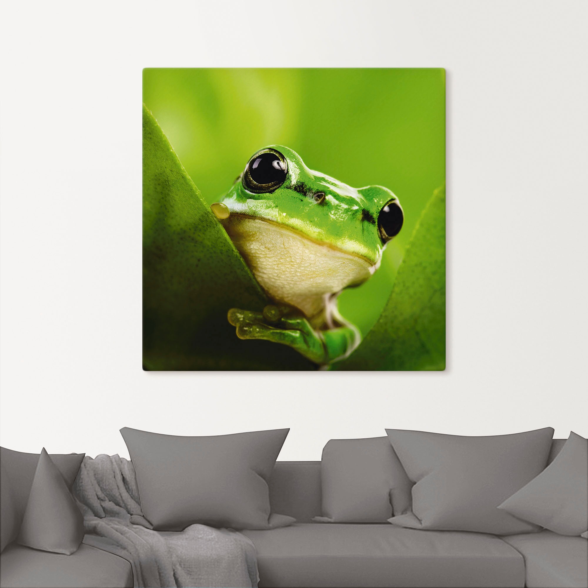 Thumbnail - Artland Wandbild "Ausspähender Frosch" Wassertiere 1 Stk. tlg. als Leinwandbild, Poster in verschied. Größen
