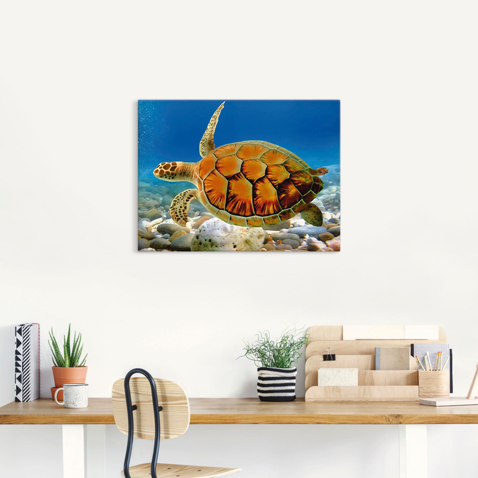 Artland Wandbild »Schildkröte«, Wassertiere, (1 St.), als Leinwandbild, Poster, Wandaufkleber in verschied. Größen