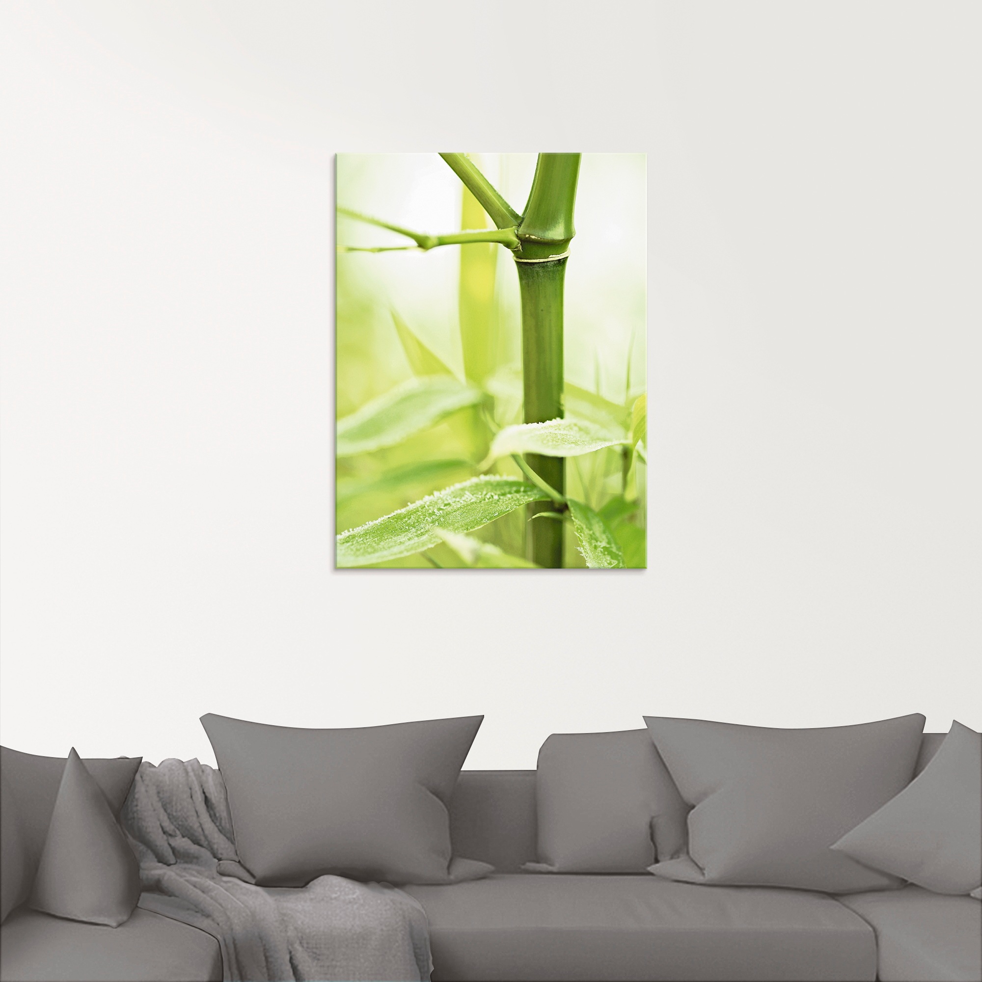 Artland Glasbild »Bambus Zweig«, Größen St.), bestellen in verschiedenen BAUR | Gräser, (1