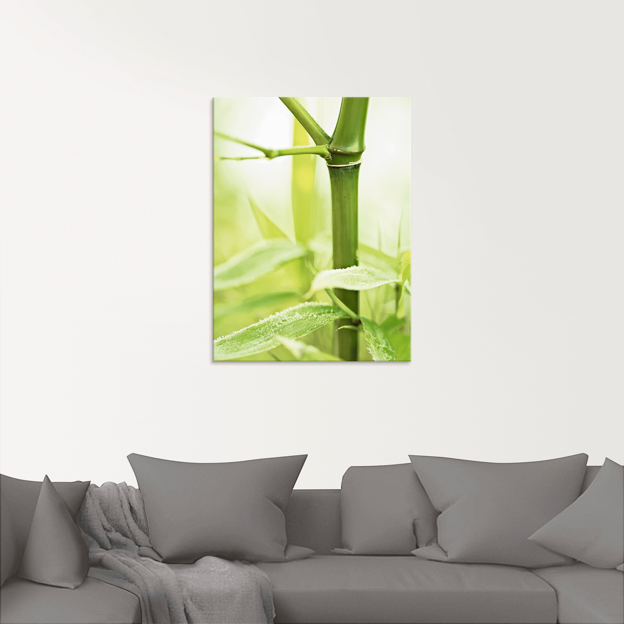 Artland Glasbild »Bambus Zweig«, Gräser, (1 St.), in verschiedenen Größen