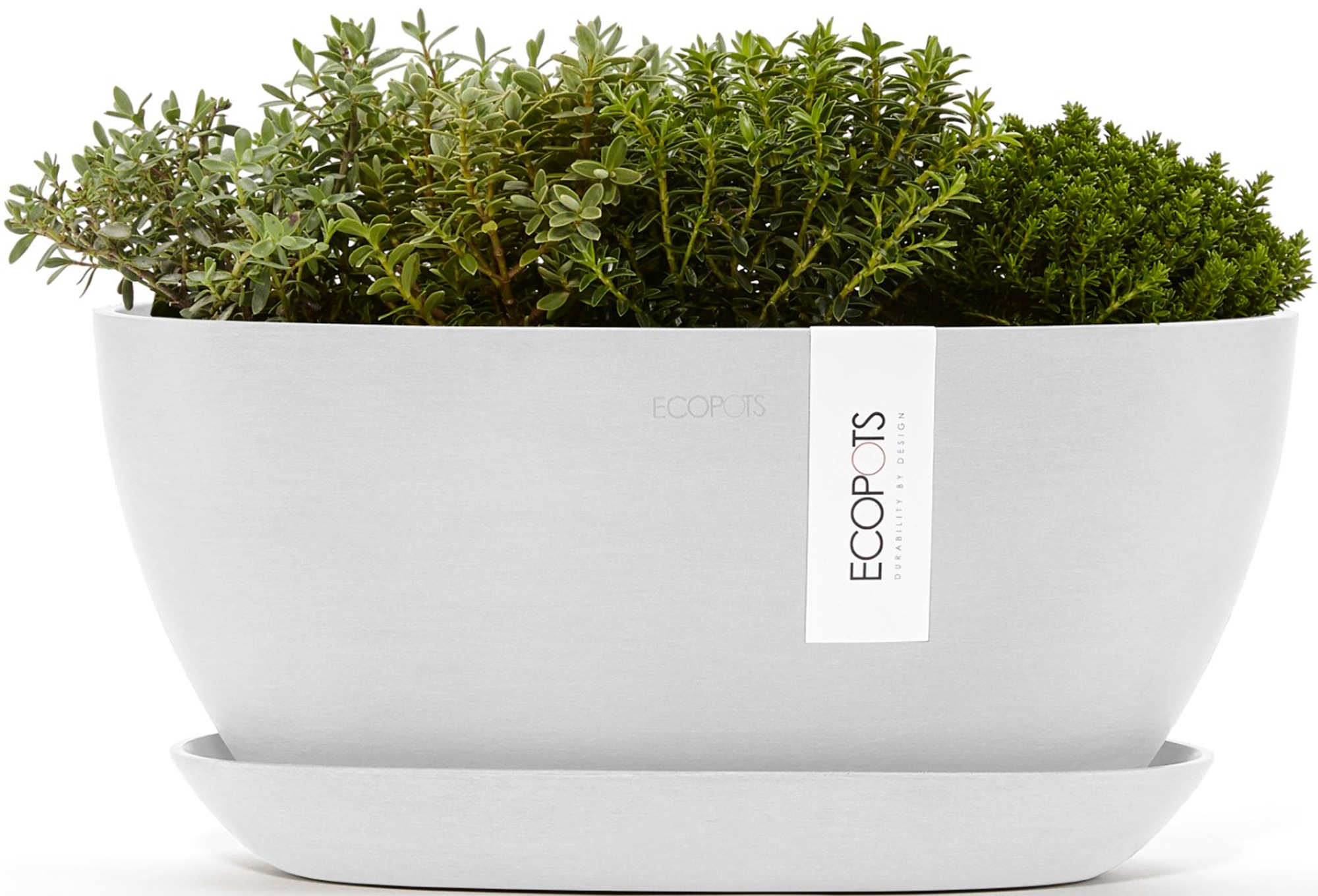 ECOPOTS Blumentopf »Sofia 30 Weiß«, für innen und außen: frostsicher, bruchsicher und lichtbeständig