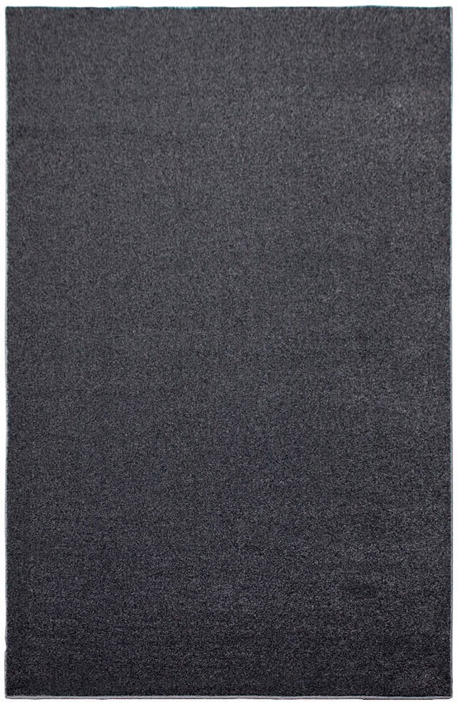 my home »»Pieter««, BAUR ,Design-Teppich mit mit weichem Melange-Effekt | Kurzflor Flor, besonders Teppich rechteckig