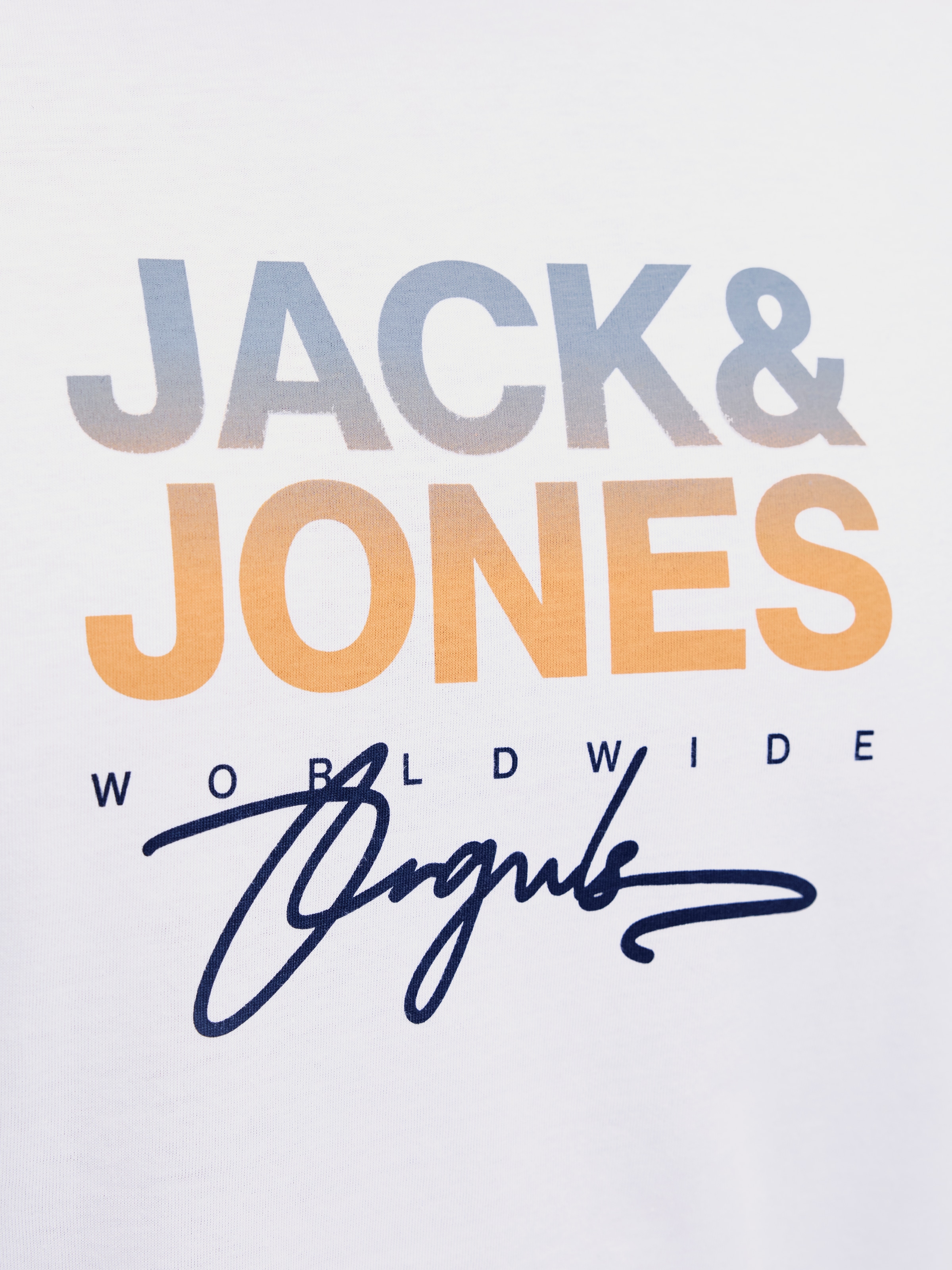 Jack & Jones PlusSize Print-Shirt »JORCANGGU TEE SS CREW NECK FST PLS«, mit Logo Print