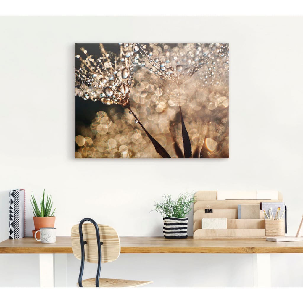 Artland Wandbild »Pusteblume Goldschimmer«, Blumen, (1 St.)