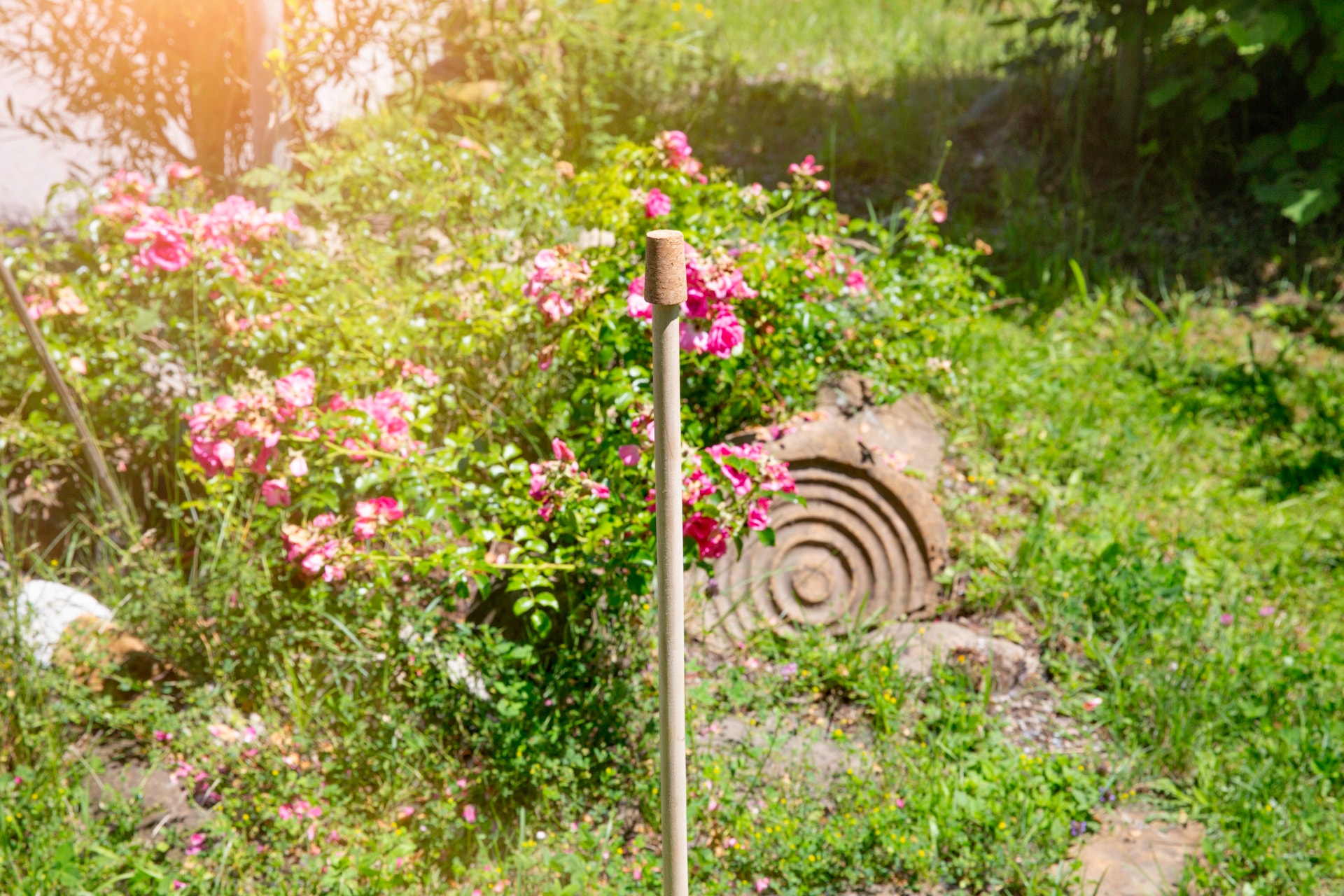 Windhager Gartenstecker »für Außen, Rosenkugebstab zur Befestigung von Rosenkugeln« Gartendeko aus Holz, erhältlich in 100 cm Ø 16 mm oder 150 cm Ø 24 mm