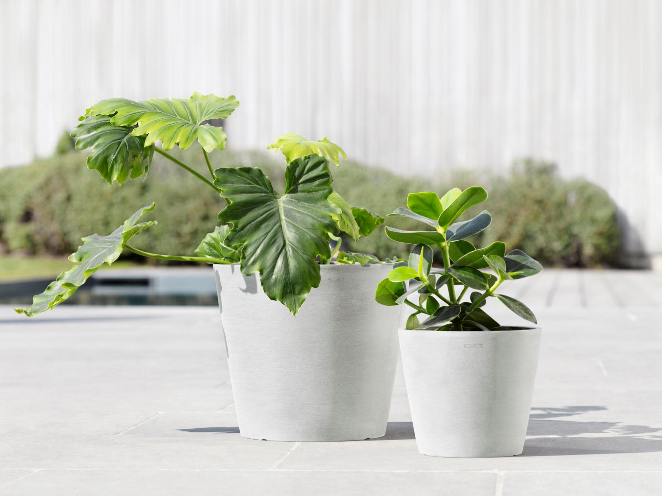 ECOPOTS Blumentopf »Amsterdam 20 Weiß«, für innen und außen: frostsicher, bruchsicher und lichtbeständig
